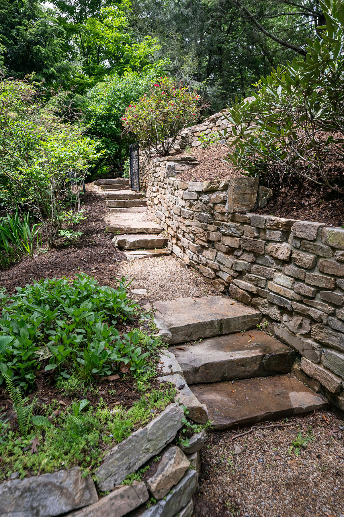  ASHEVILLE - 物件實景