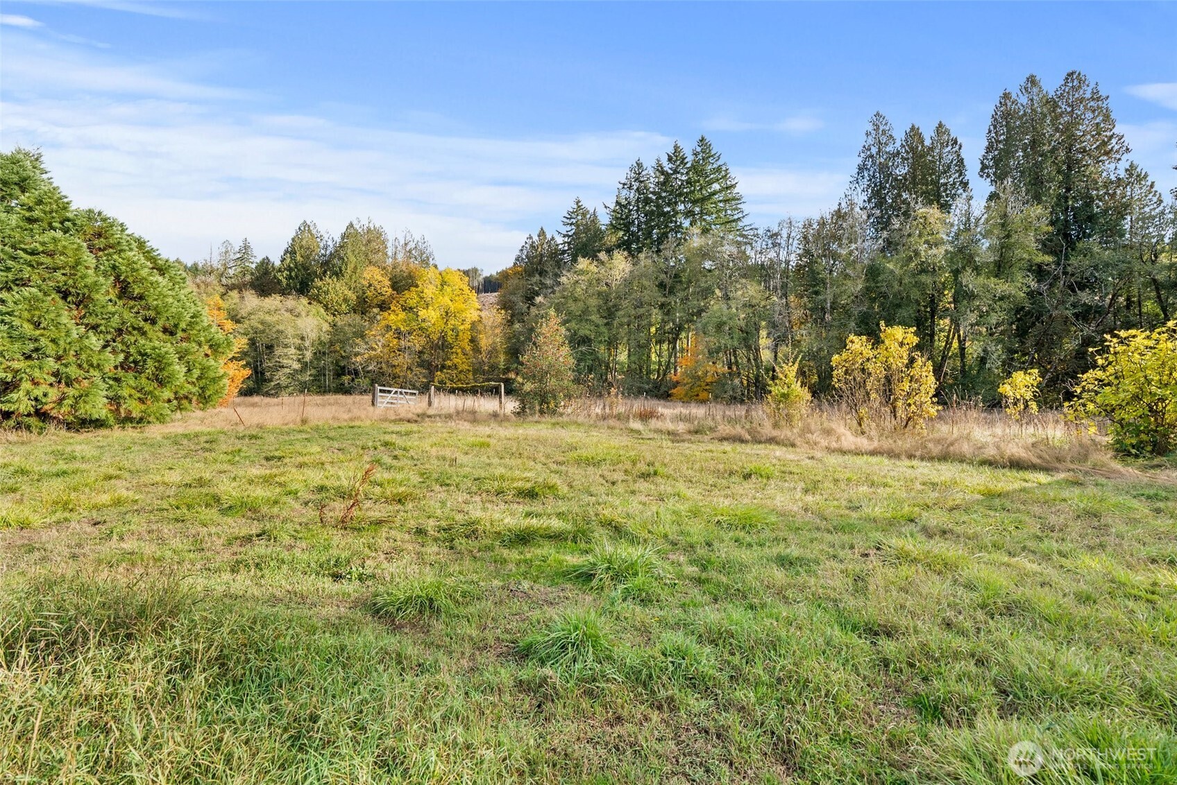 Ryderwood, Washington, 98581, United States, 4 Bedrooms Bedrooms, ,1 BathroomBathrooms,Residential,For Sale,1765461