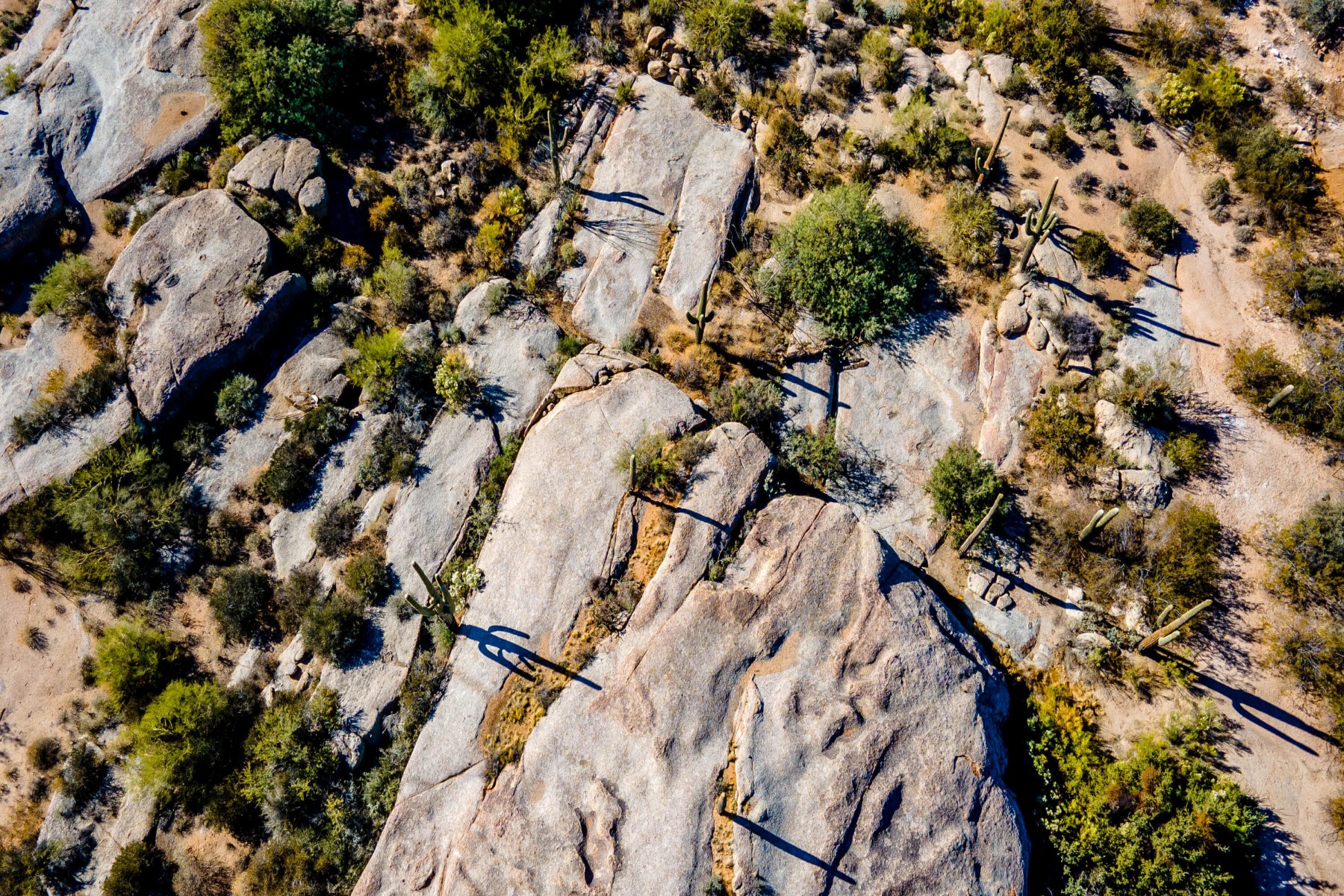  27777 N 95th Street  Scottsdale, AZ - 物件實景