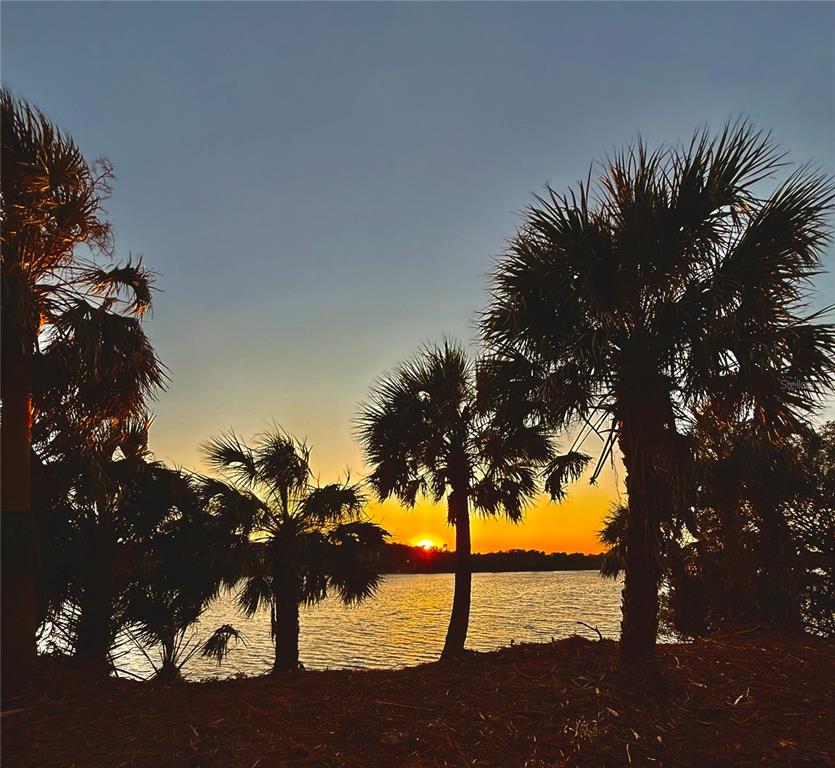 Ormond Beach, Florida, 32176, United States, ,Land,For Sale,1743794