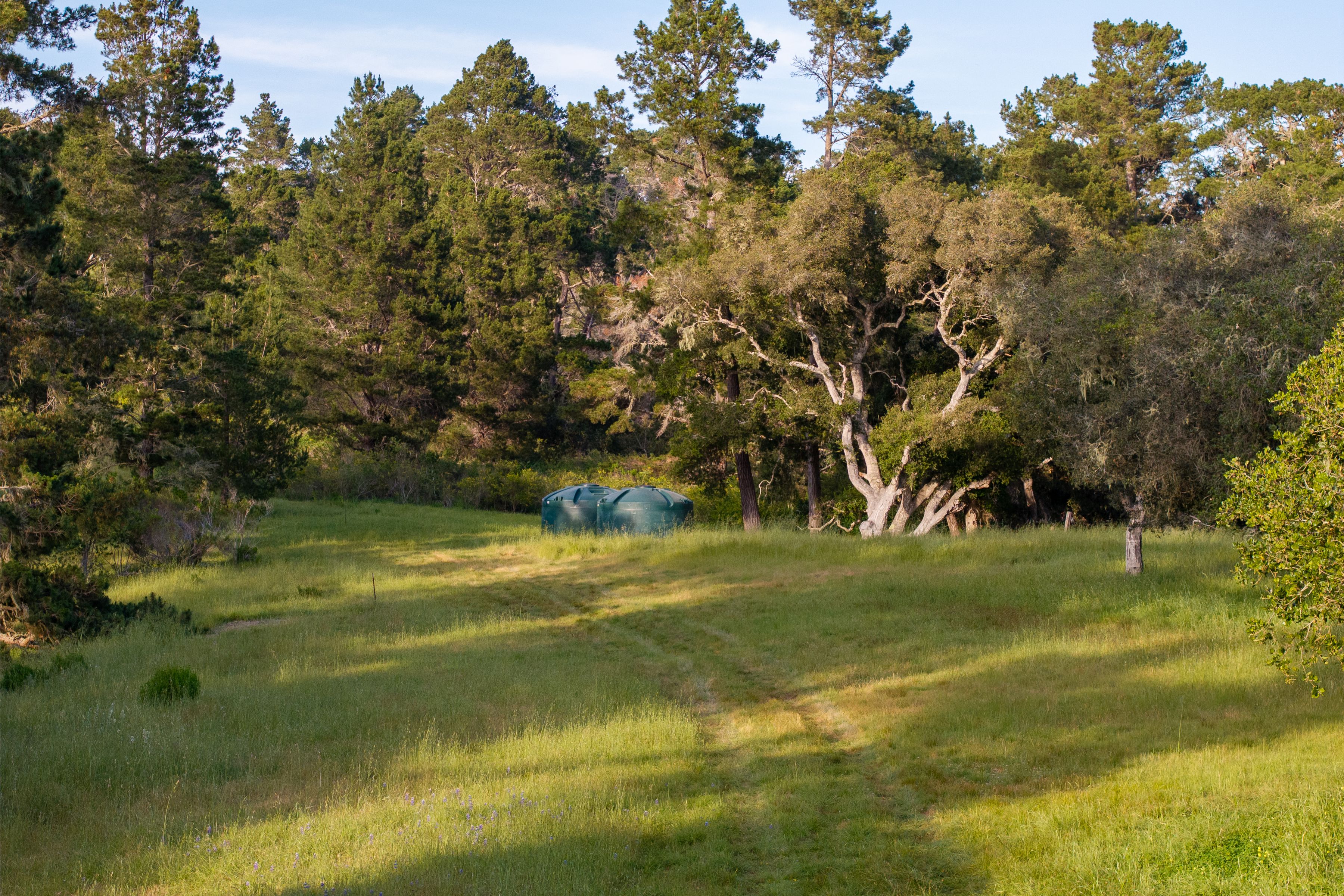 5155 Carmel Valley Road - 物件實景