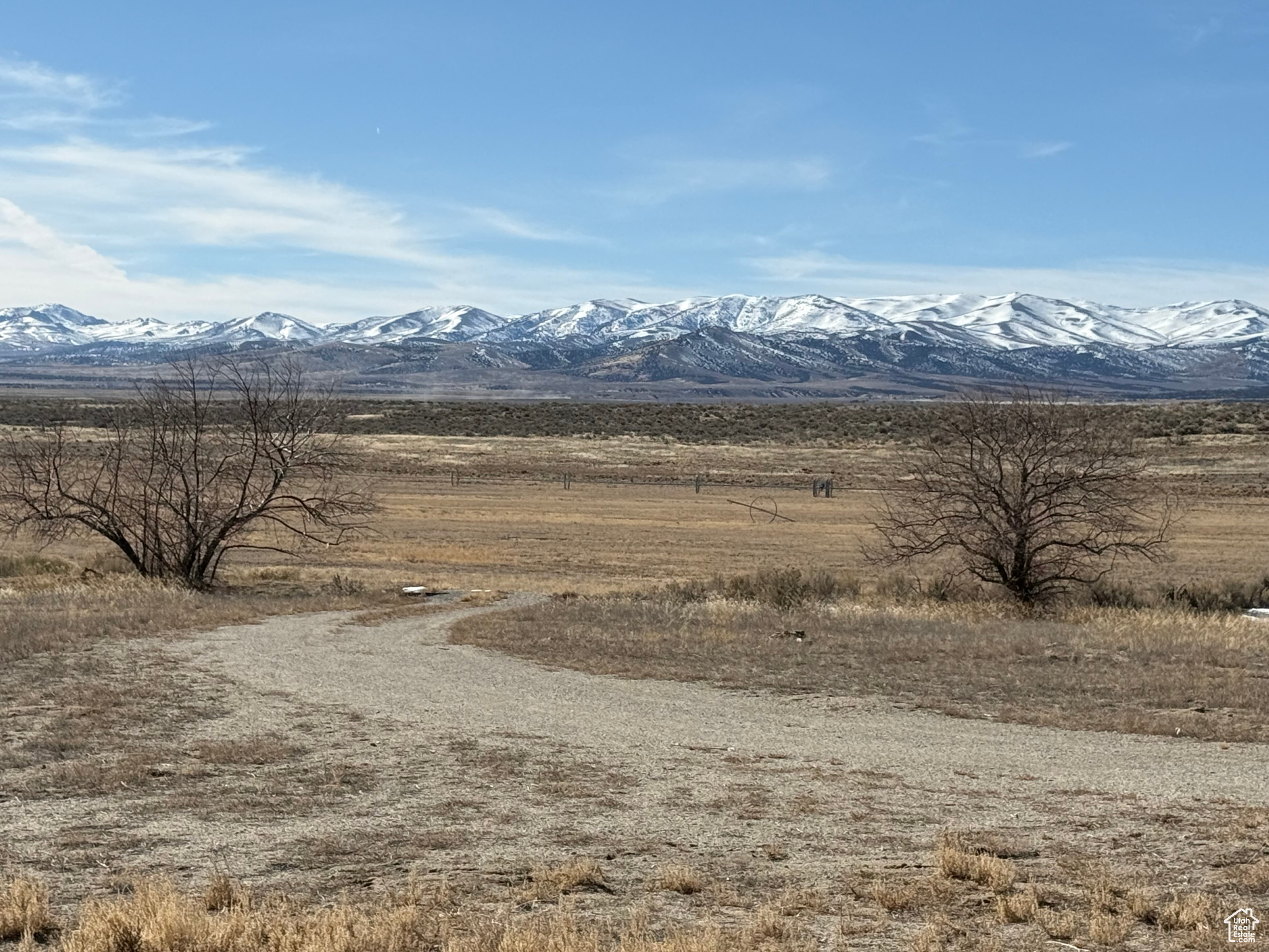 Park Valley, Utah, 84329, United States, ,Land,For Sale,1882391