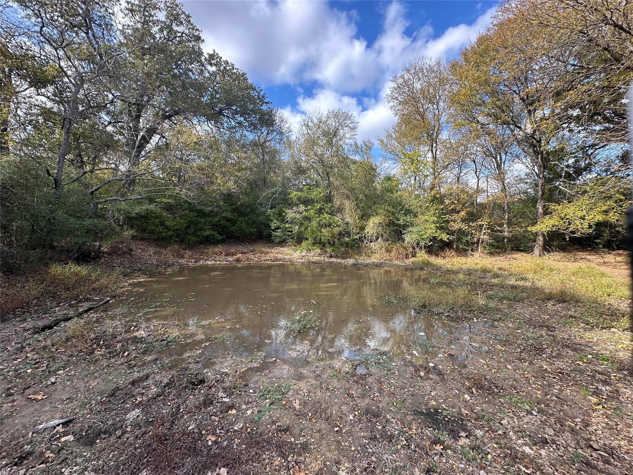 Thornton, Texas, 76687, United States, ,Land,For Sale,1995546