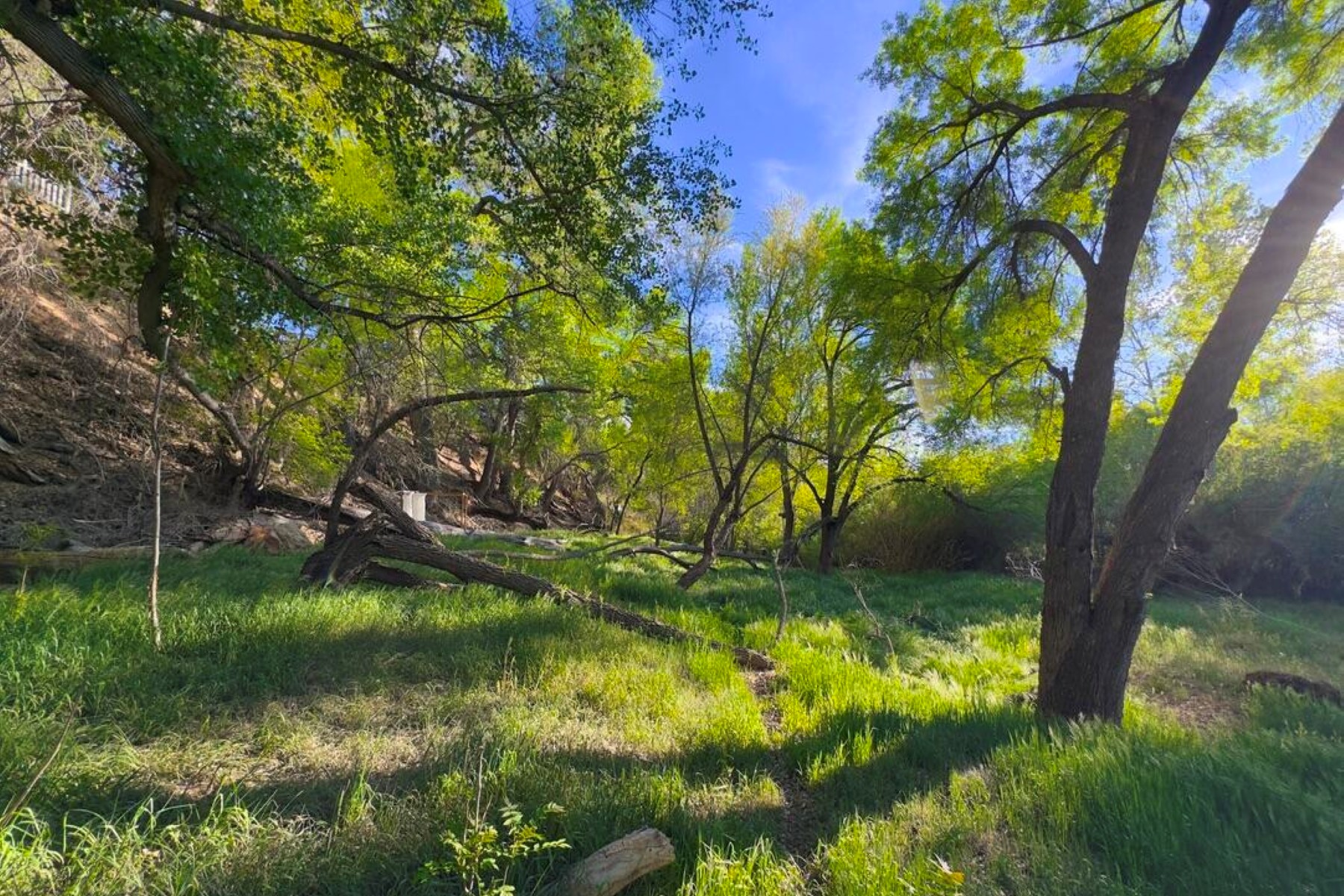  550 S Eden Ln  Cornville, AZ - 物件實景