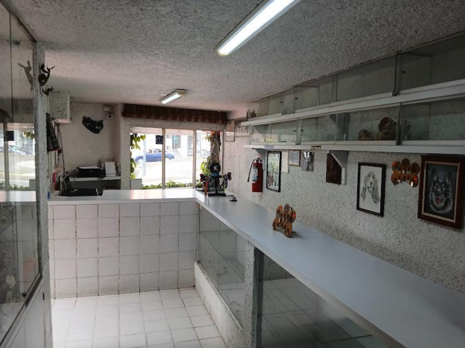 Coyoacán, Ciudad de México, 04200, Mexico, 4 Bedrooms Bedrooms, ,2 BathroomsBathrooms,Residential,For Sale,1916889