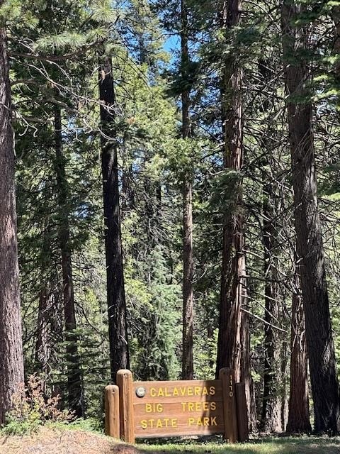 Camp Connell, California, 95223, United States, 3 Bedrooms Bedrooms, ,2 BathroomsBathrooms,Residential,For Sale,1937554