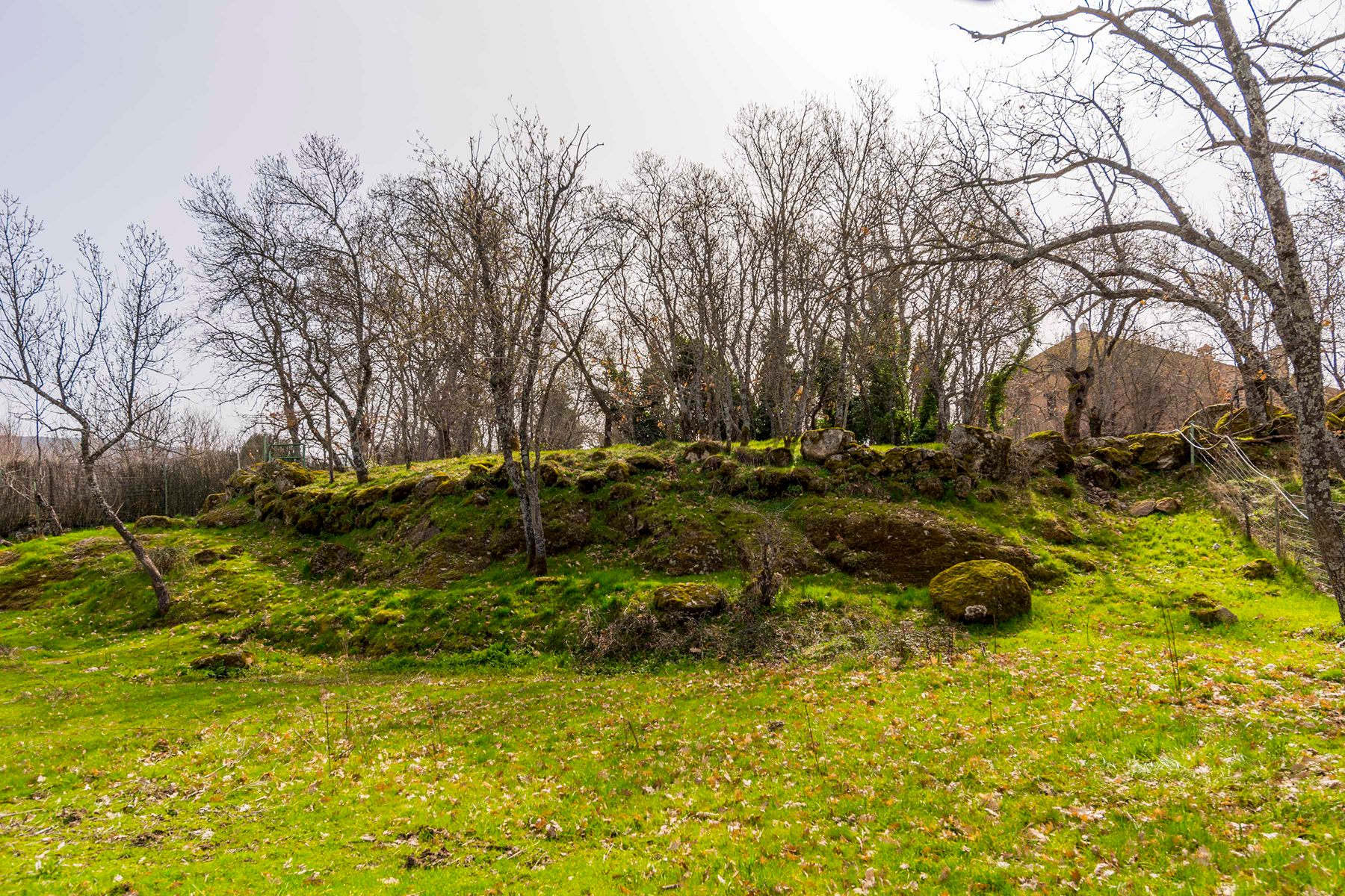  Spectacular estate for promotion in Sotosalbos, Segovia - 物件實景