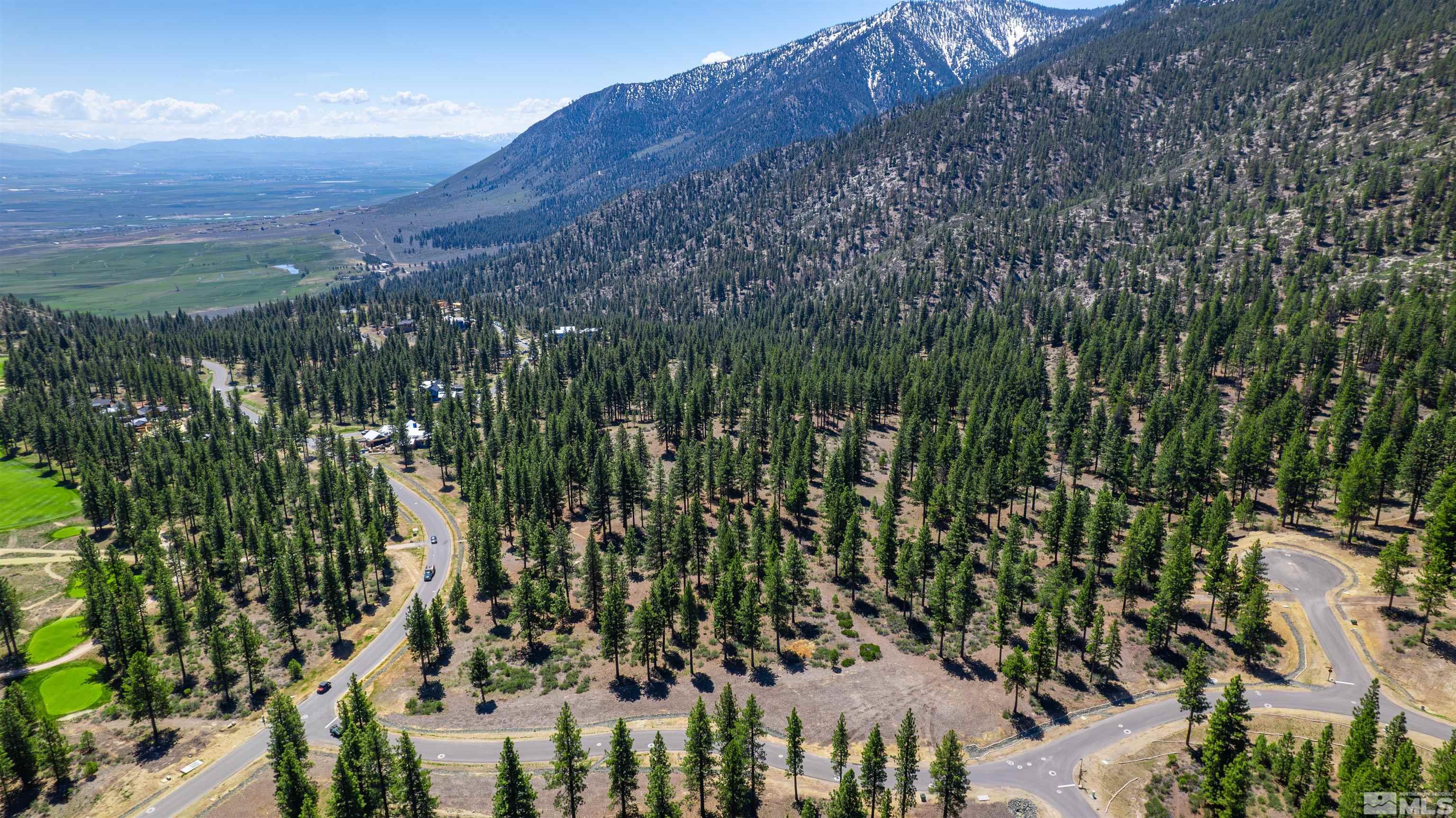 Carson City, Nevada, 89705, United States, ,Land,For Sale,1826407