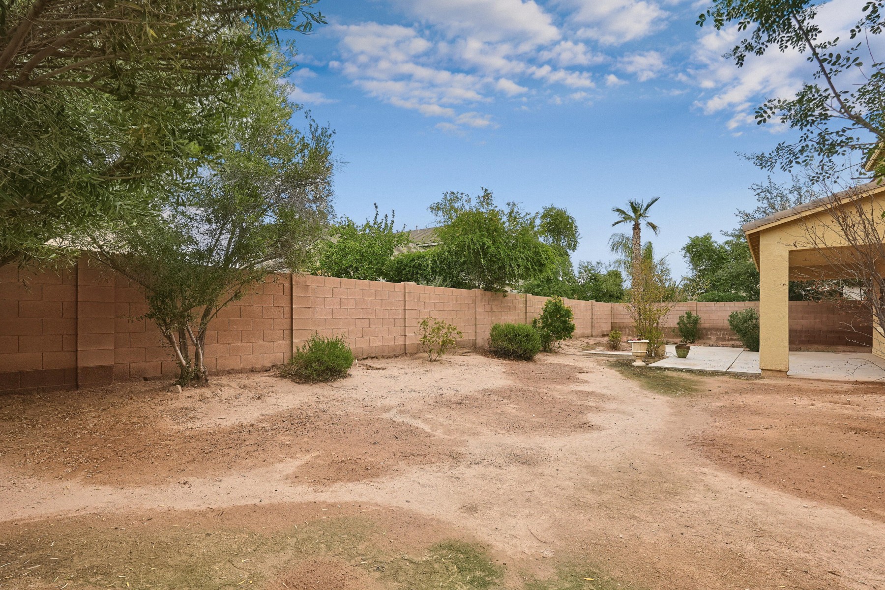  2854 E Flower Street¦Gilbert, AZ - 物件實景