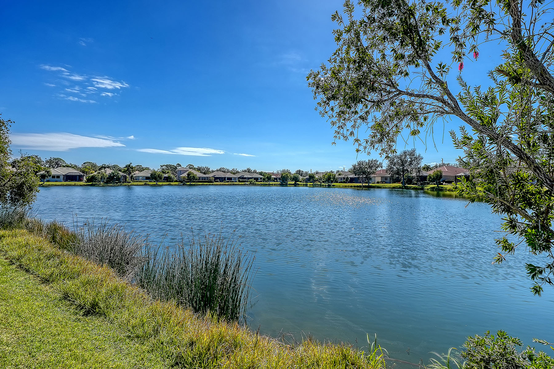  WILLOWBEND PH 3 - 物件實景