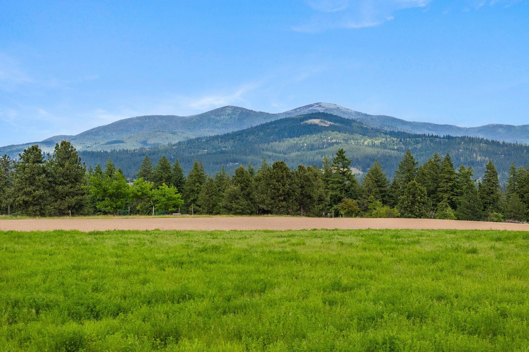 Mead, Washington, 99021, United States, ,Land,For Sale,1977316