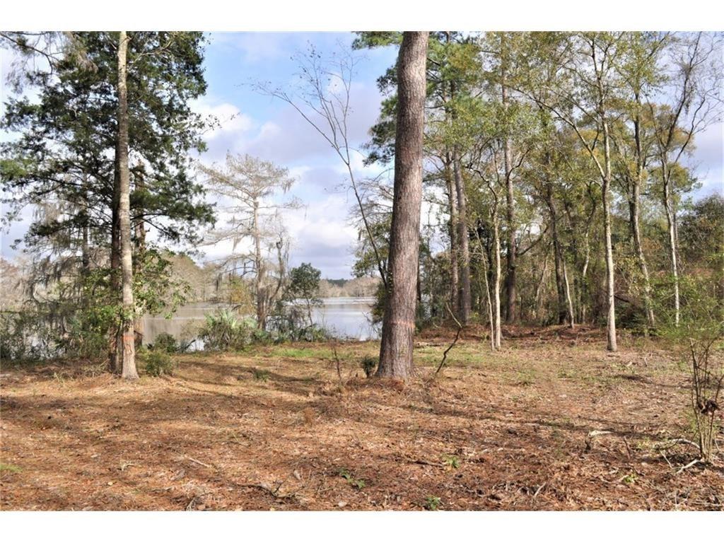 Lake Charles, Louisiana, 70601, United States, ,Land,For Sale,1975945