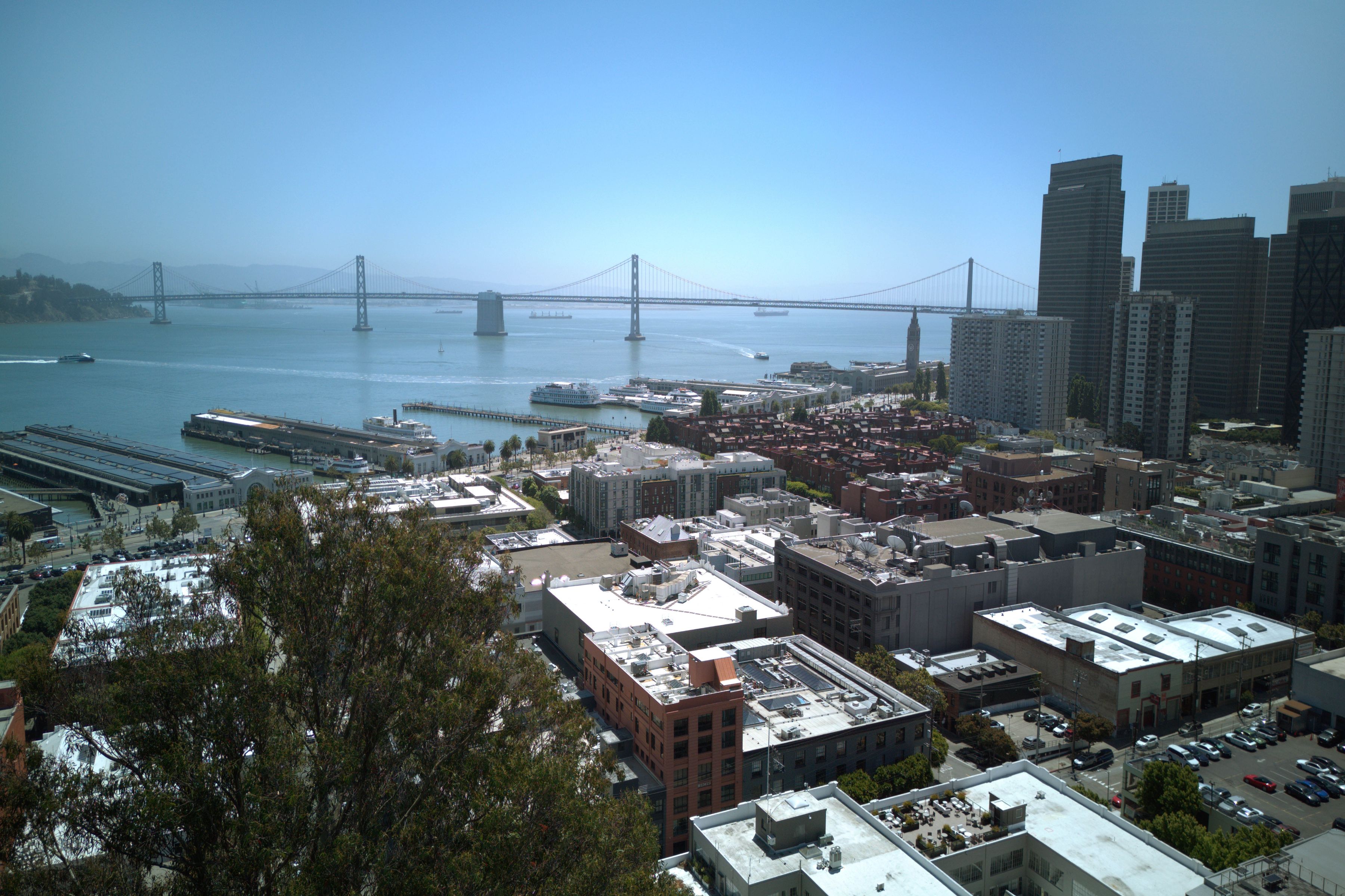  Telegraph Hill Trophy - 物件實景