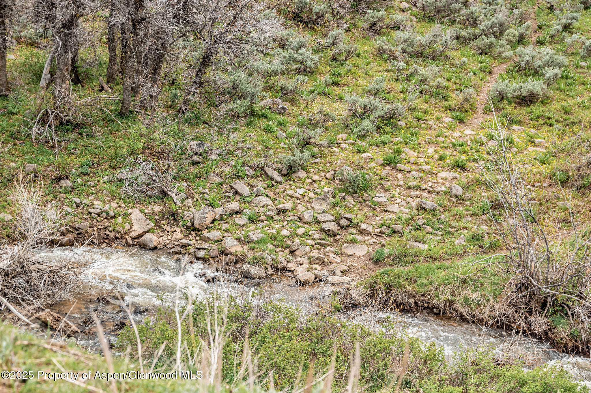 Hayden, Colorado, 81639, United States, ,Residential,For Sale,1901288