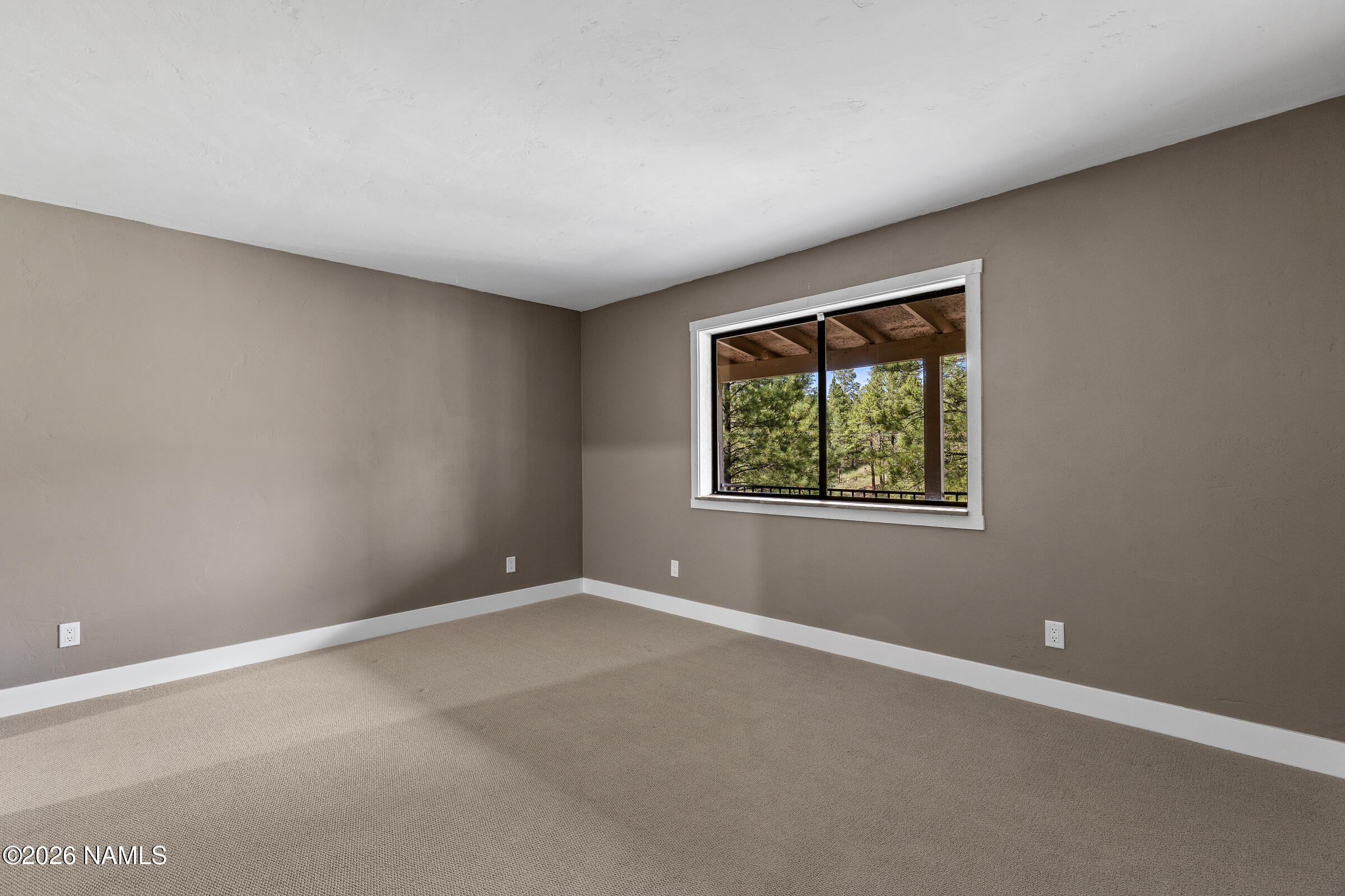  3579 Starlight Drive, Happy Jack, AZ 86024 - 物件實景