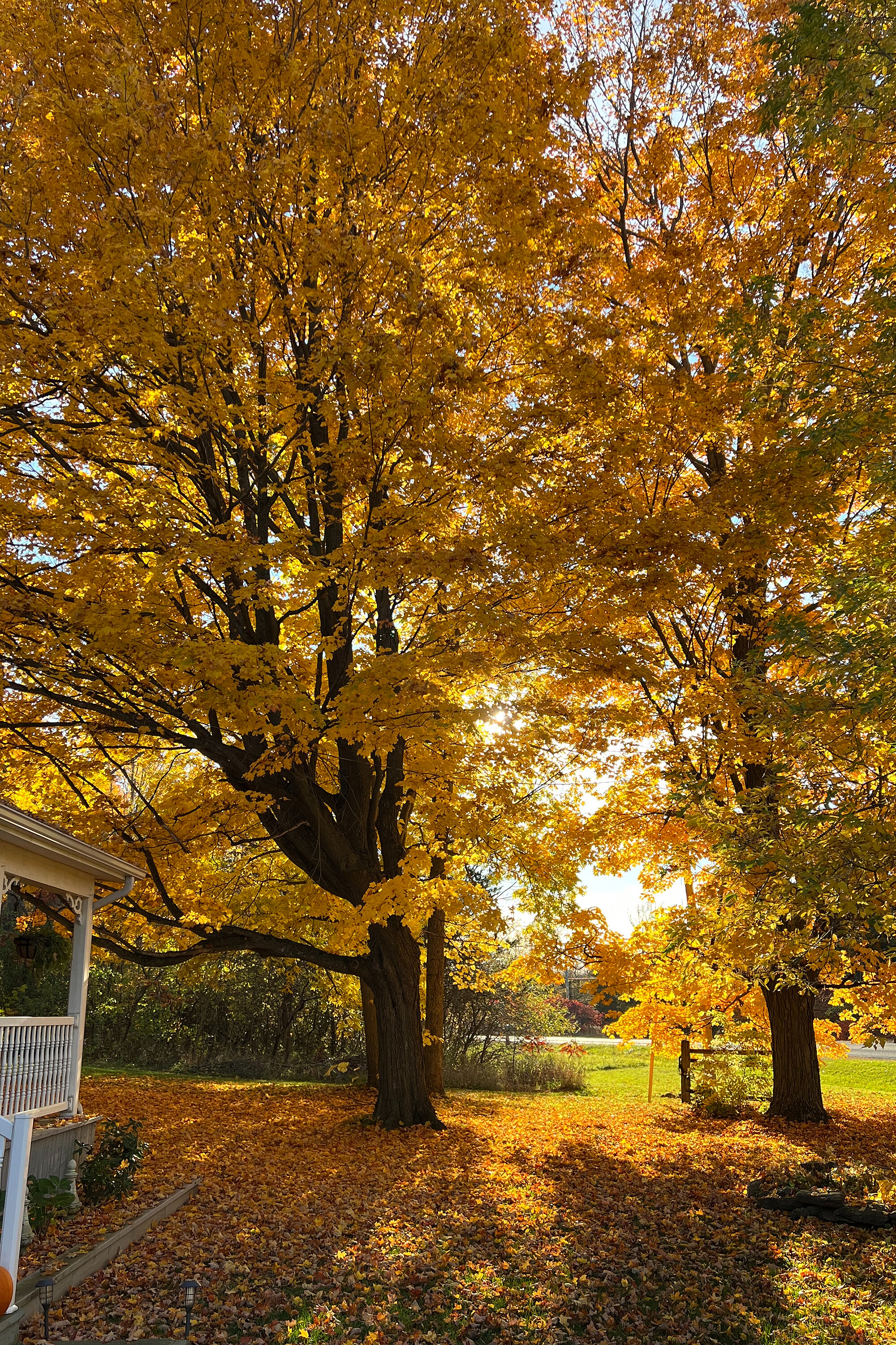  Prince Edward County - 物件實景