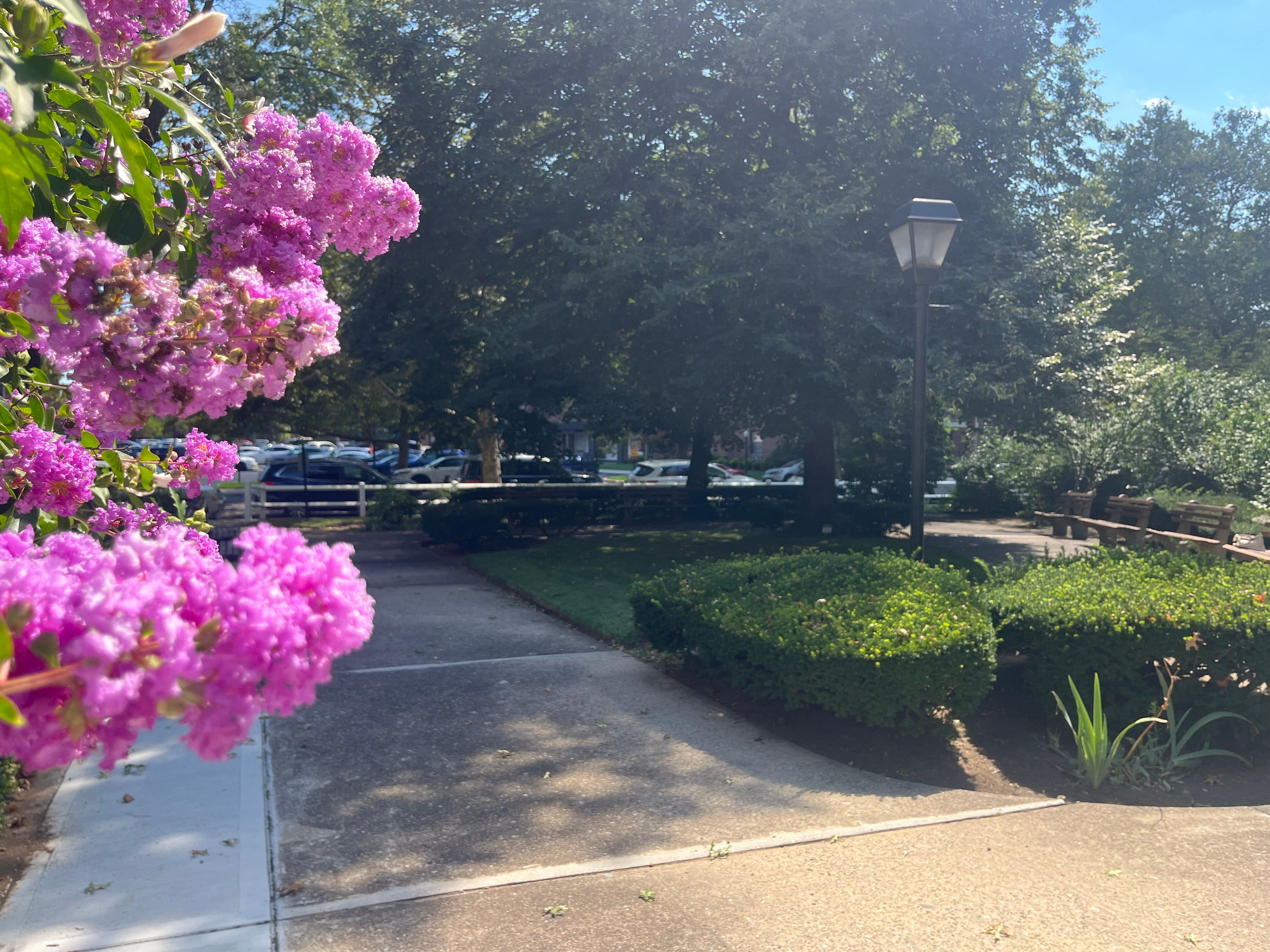  8429 153rd Avenue, Howard Beach, NY, 11414 - 物件實景