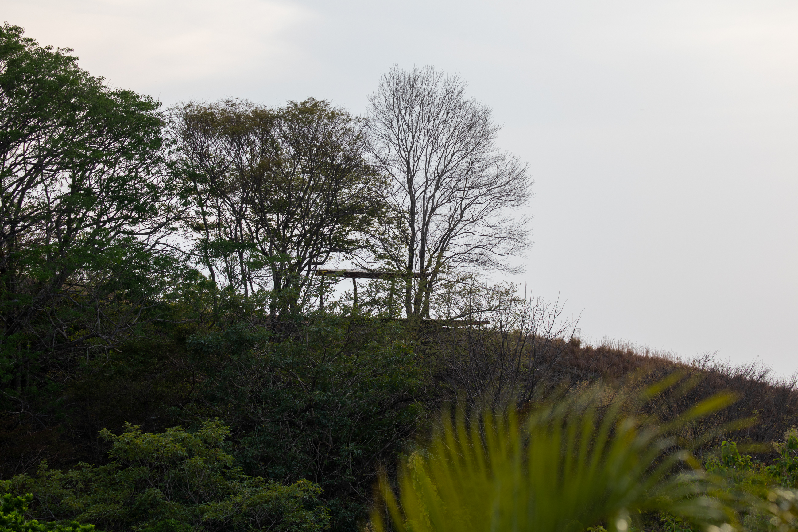 Nosara, Guanacaste, CR, 16 Bedrooms Bedrooms, ,9 BathroomsBathrooms,Residential,For Sale,1587974
