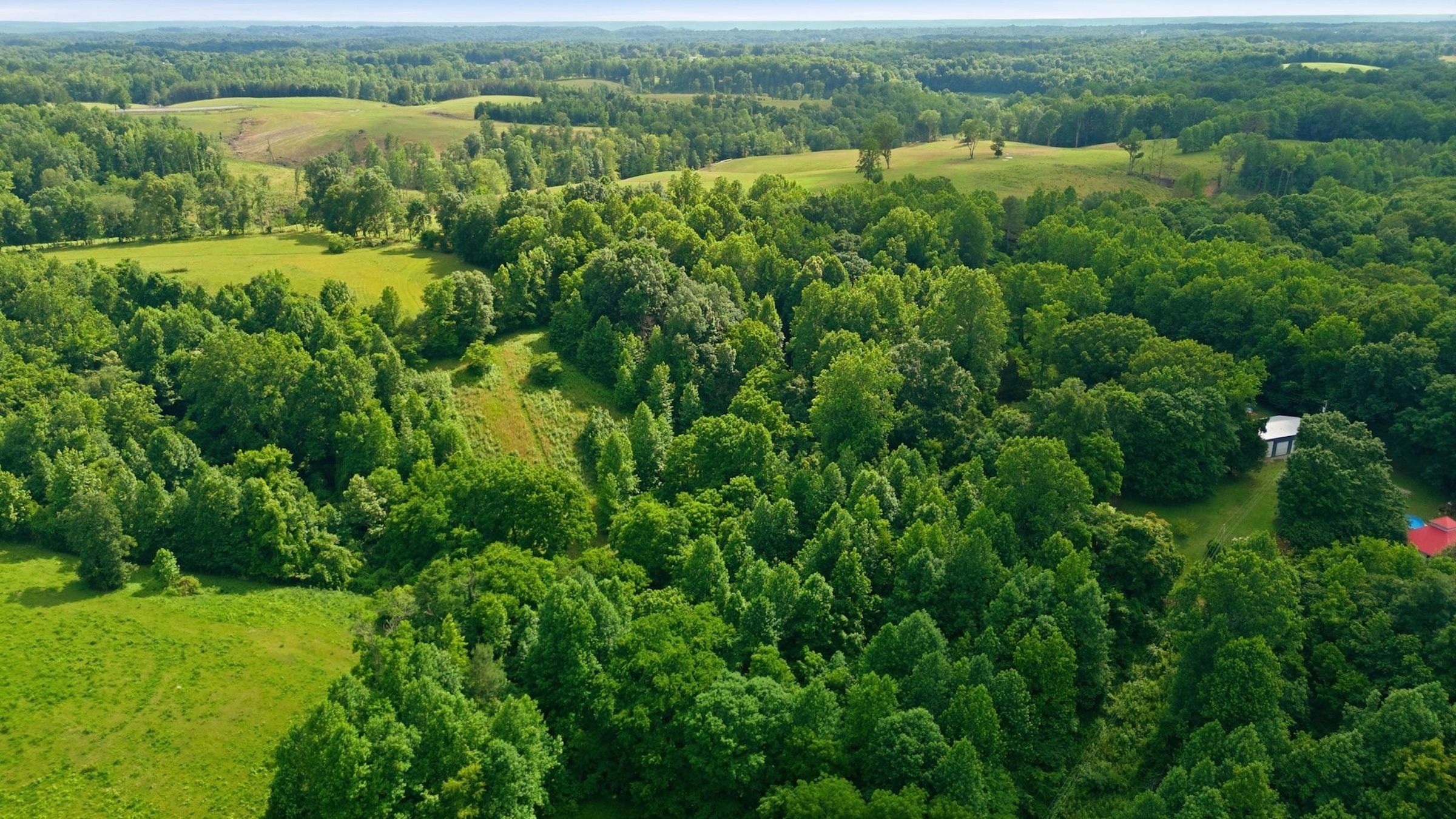  925 Sumac Rd, Pulaski, TN, 38478 - 物件實景