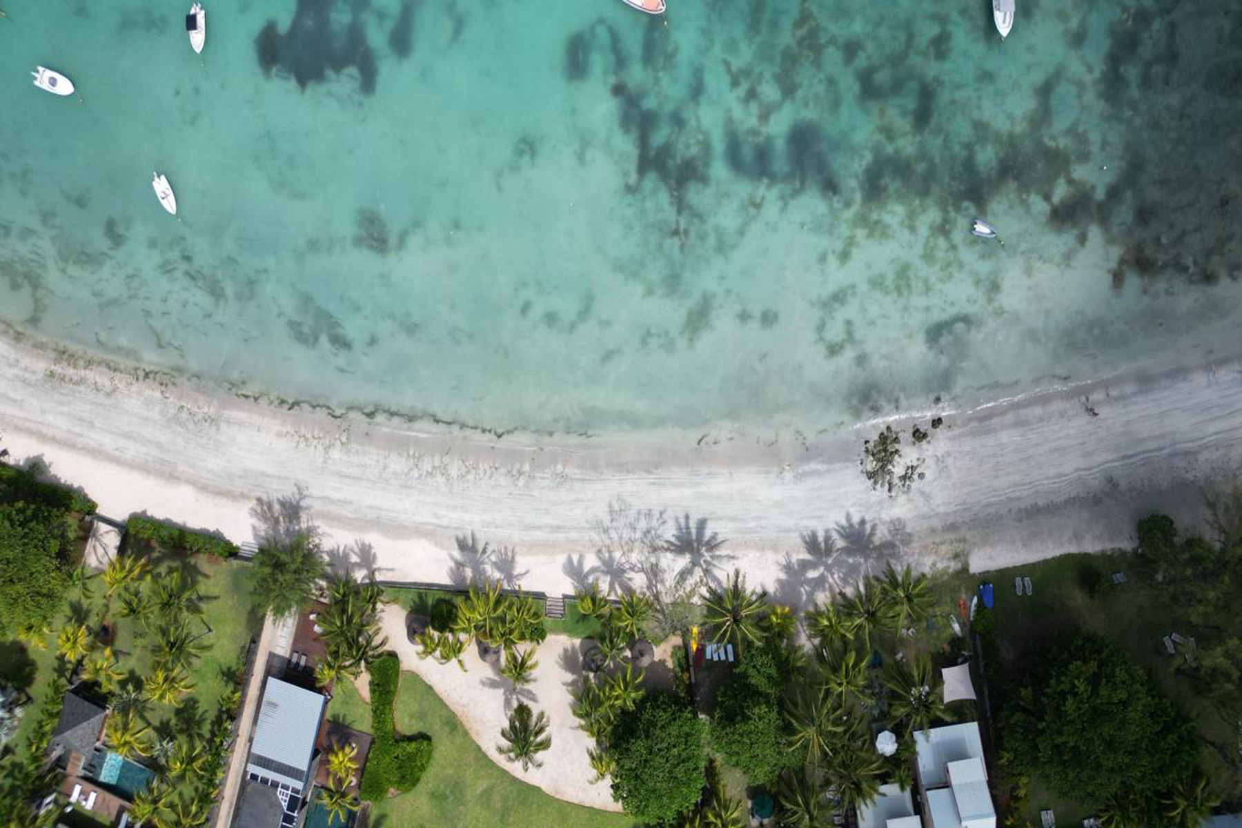  The Palmview - 物件實景