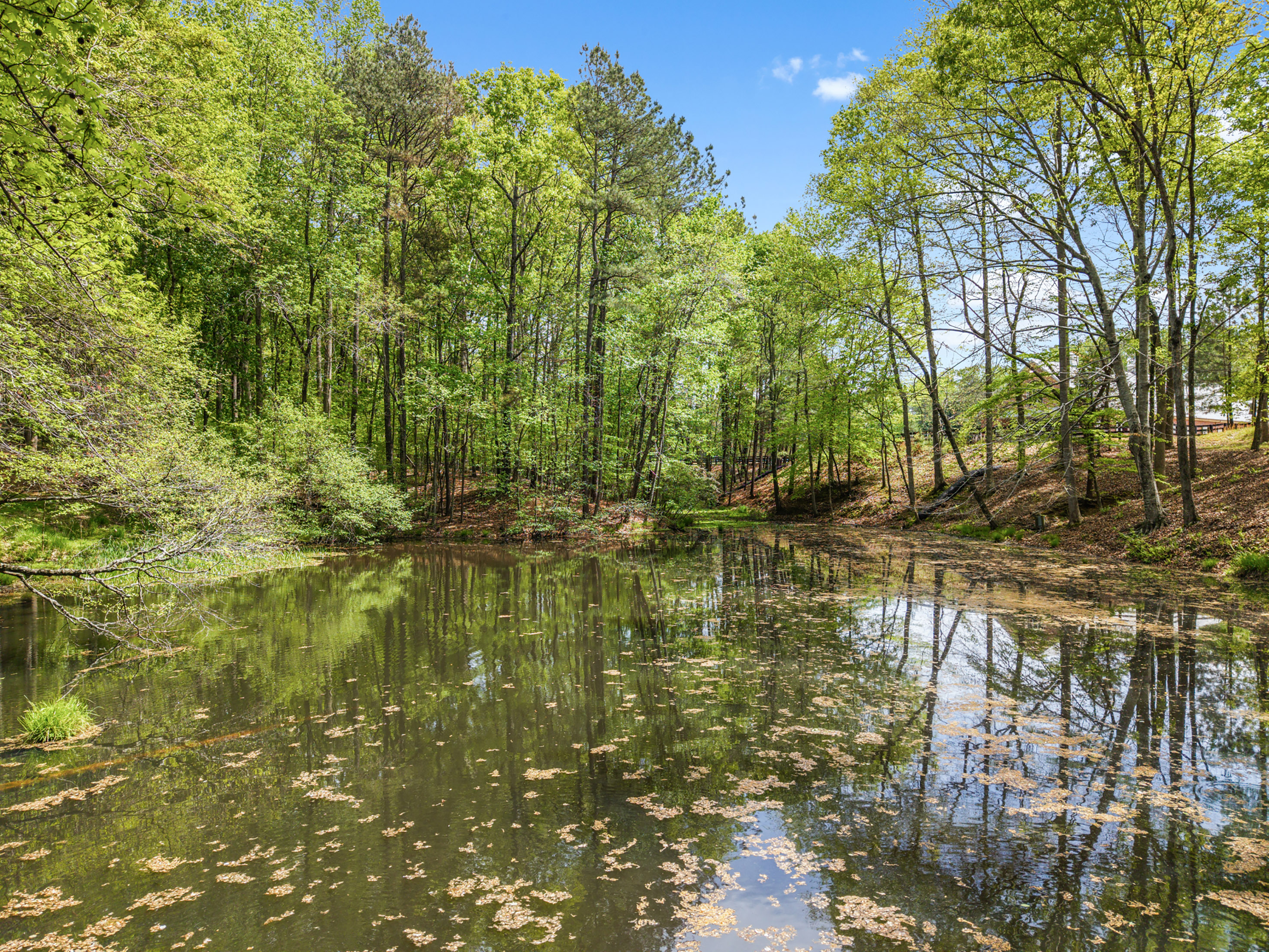  Experience Elevated Living in this Exceptional Estate-Style Residence - 物件實景