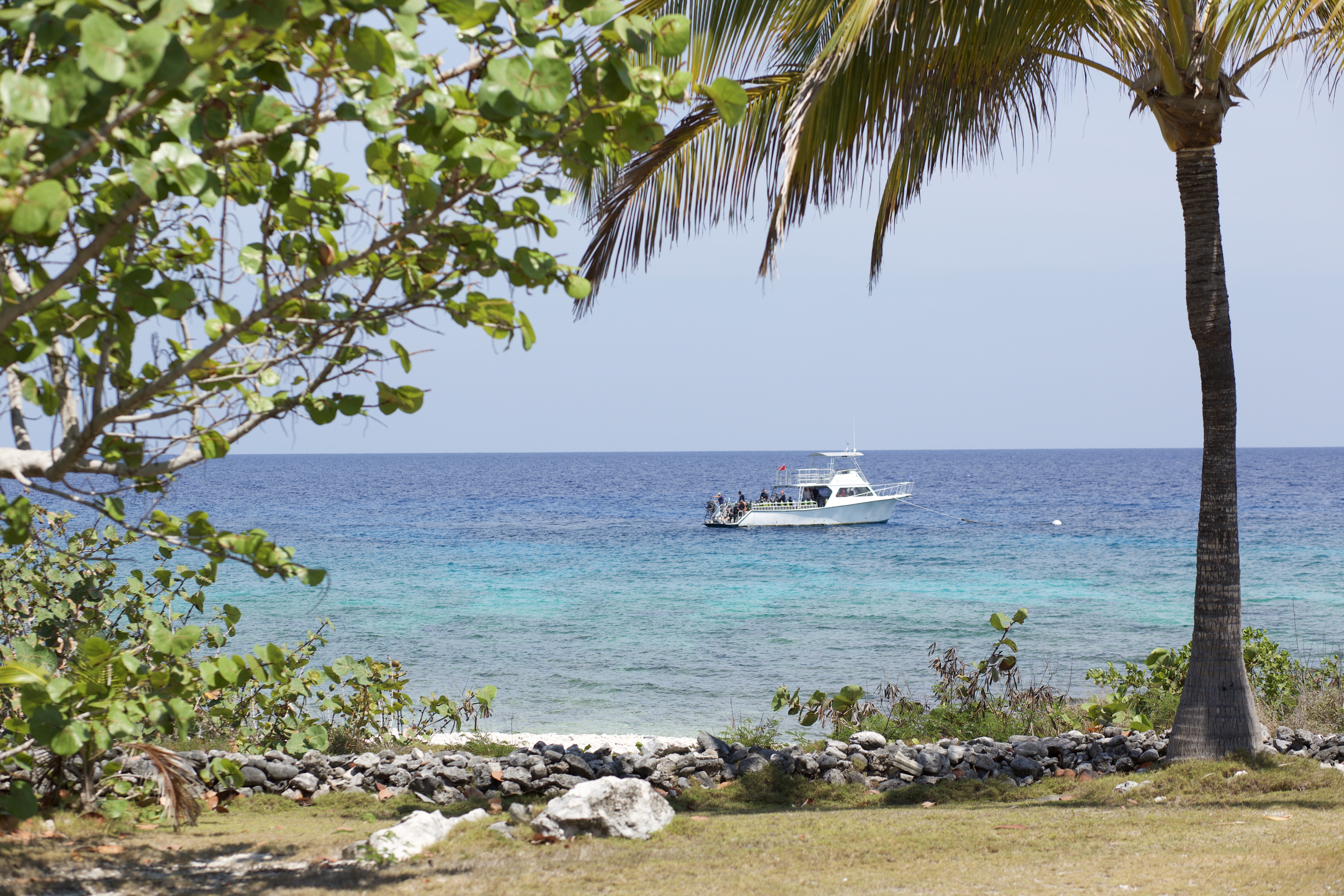  Oceanfront Large Land Parcel - 物件實景