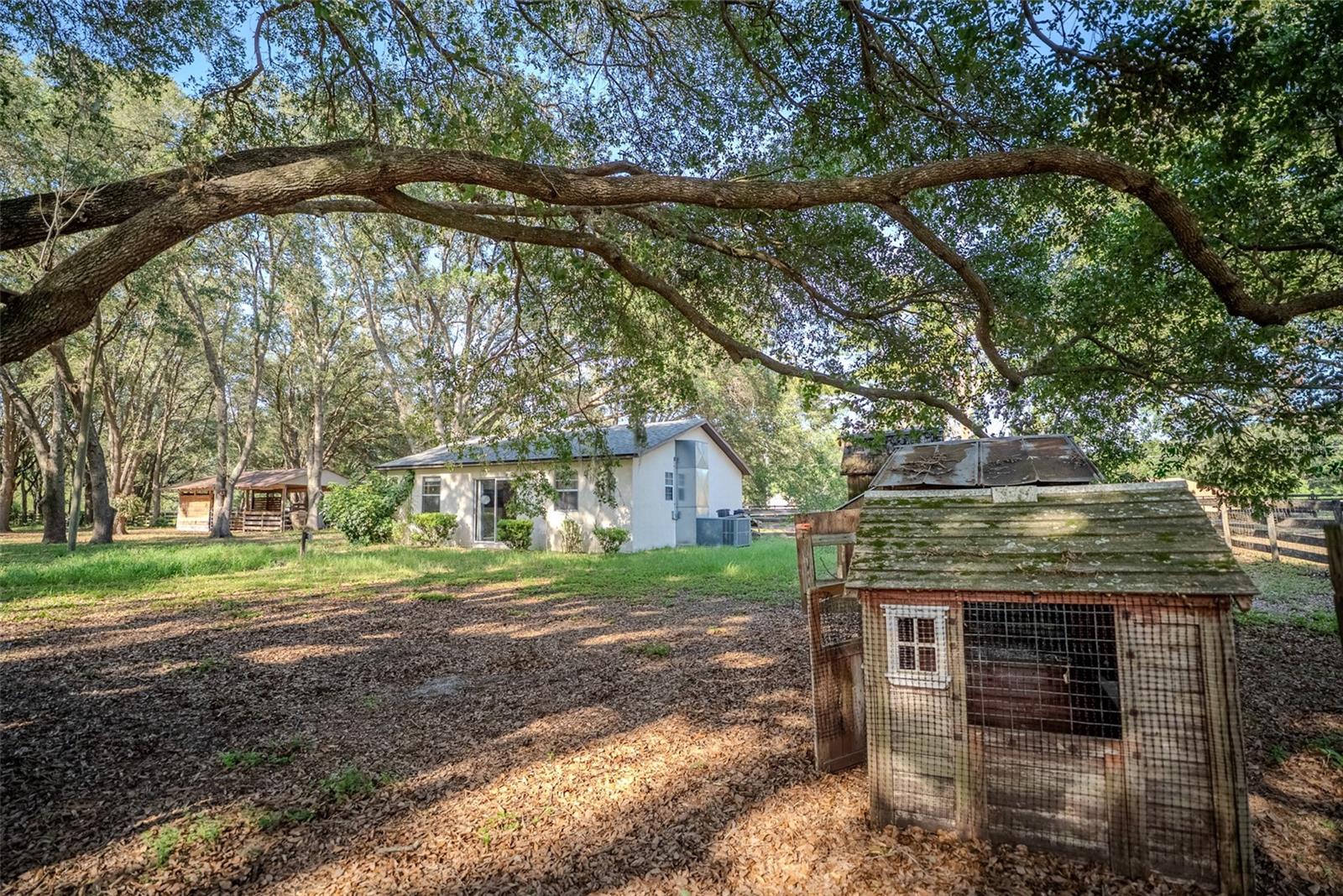 LADY LAKE, Florida, 32159, United States, 5 Bedrooms Bedrooms, ,3 BathroomsBathrooms,Residential,For Sale,1850305