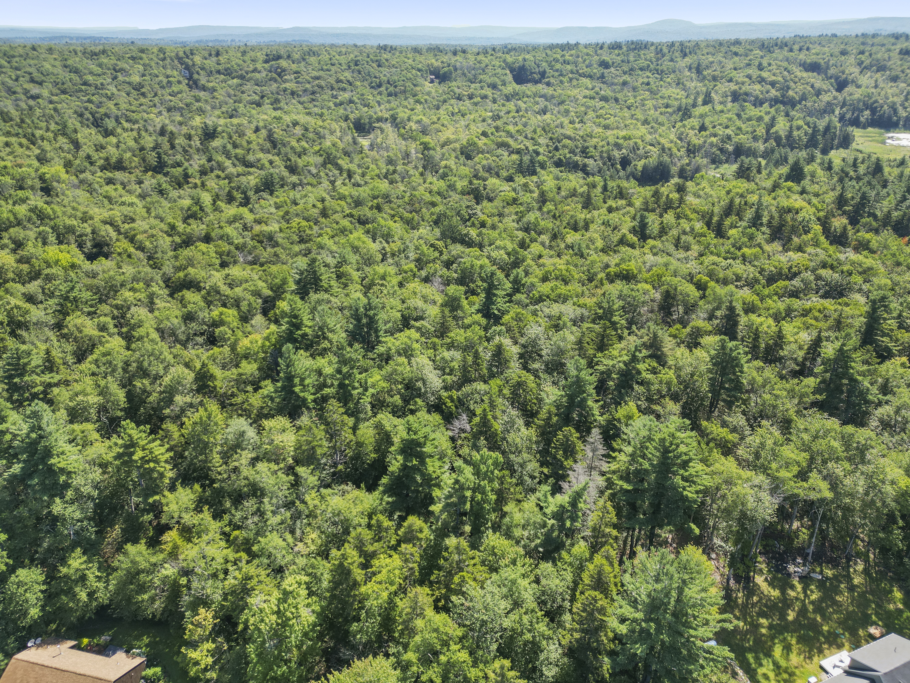  7.5 SERENE ACRES IN BECKET WOODS - 物件實景