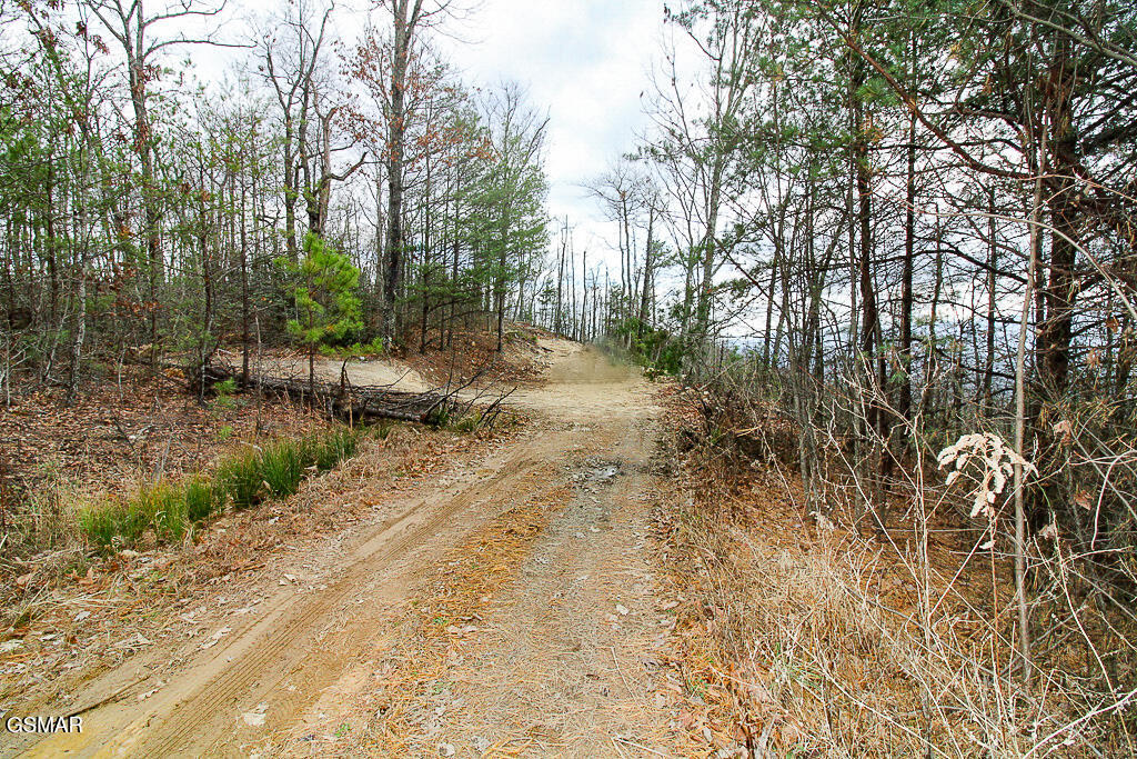 Sevierville, Tennessee, 37876, United States, ,Land,For Sale,2009102