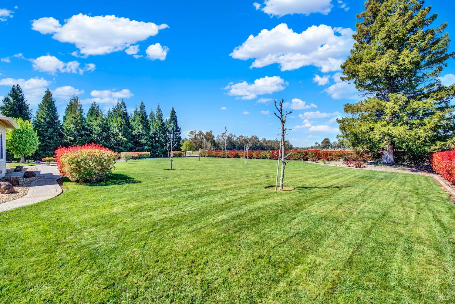 Vacaville, California, 95688, United States, 4 Bedrooms Bedrooms, ,4 BathroomsBathrooms,Residential,For Sale,1991158