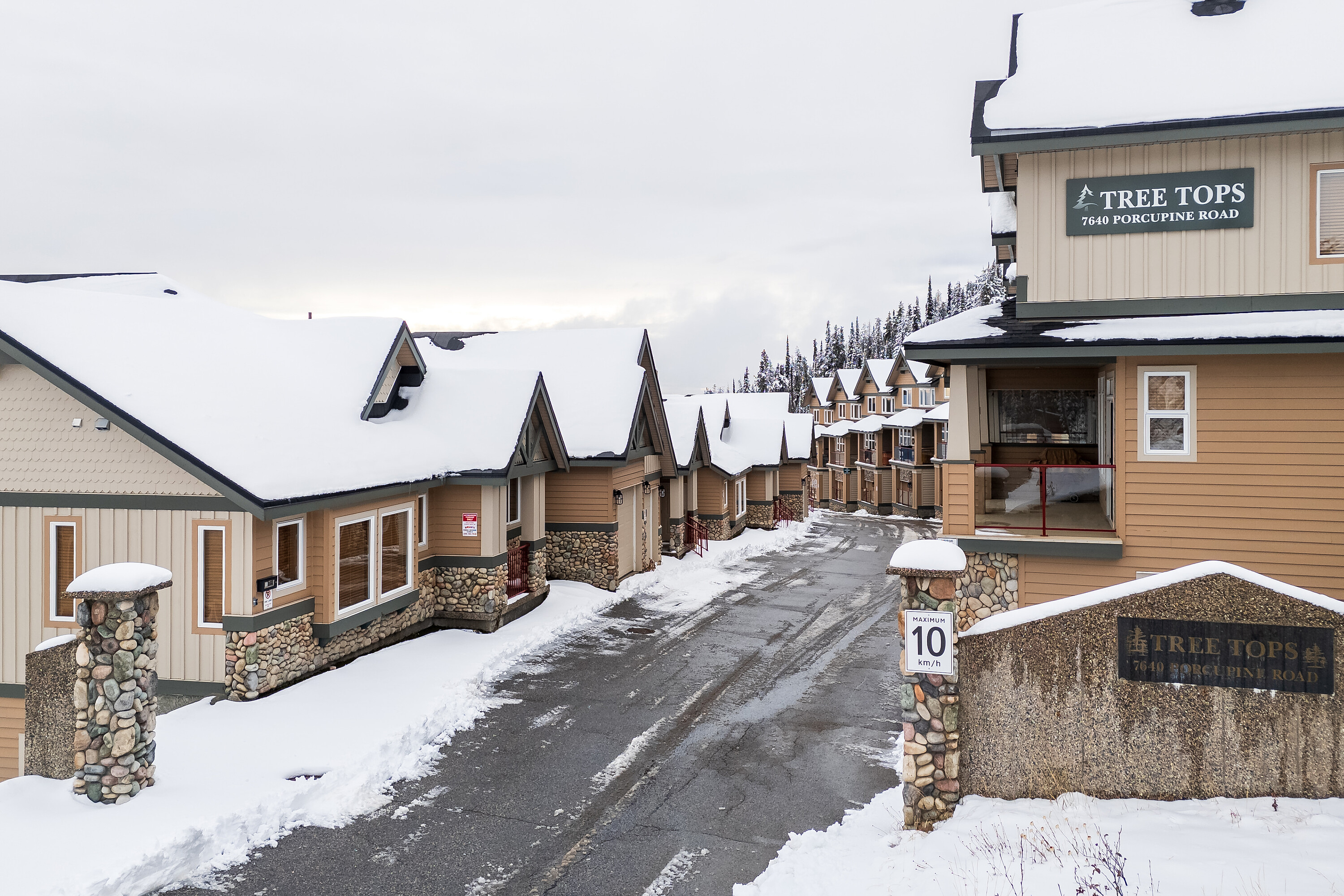  Tree Tops Chalet - 物件實景