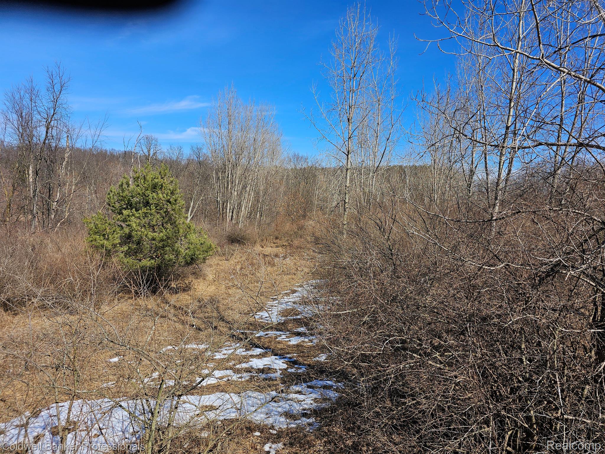 Metamora, Michigan, 48455, United States, ,Land,For Sale,1736755