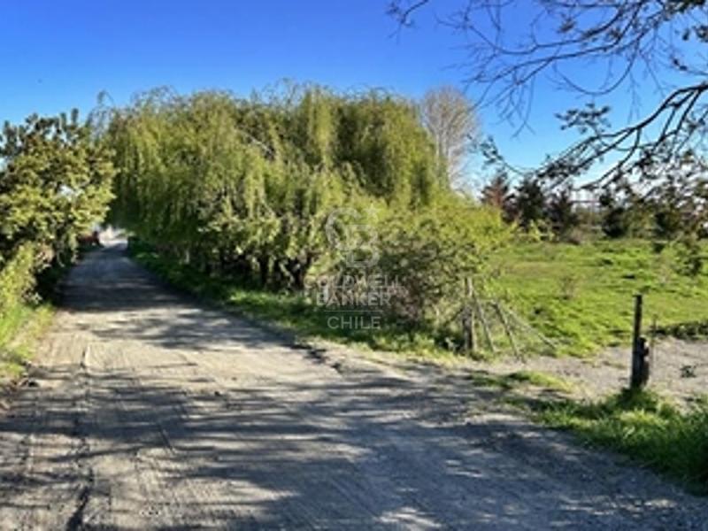 Frutillar, Chile, ,Residential,For Sale,1885462