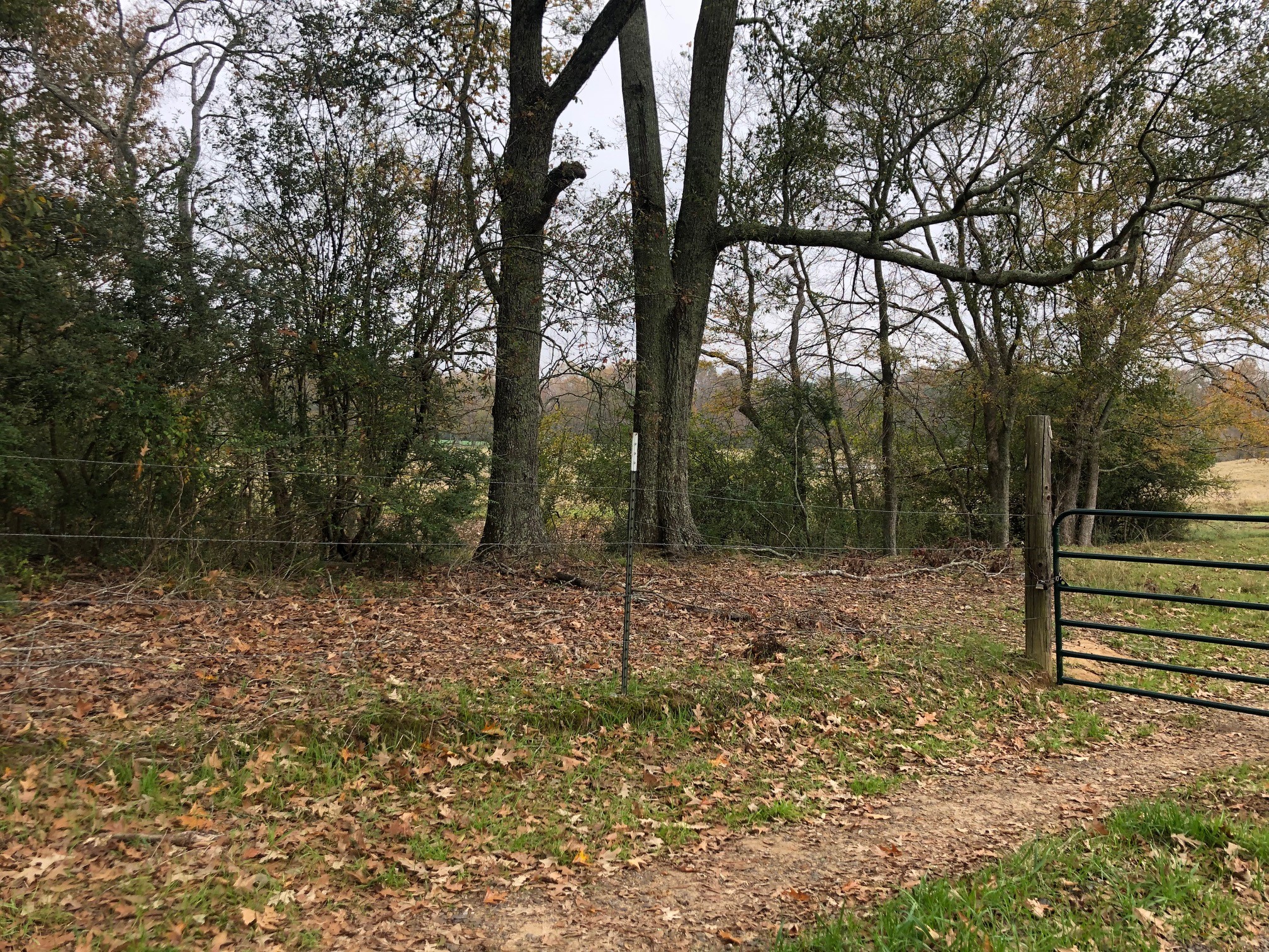 Woodville, Mississippi, 39669, United States, ,Land,For Sale,1903727