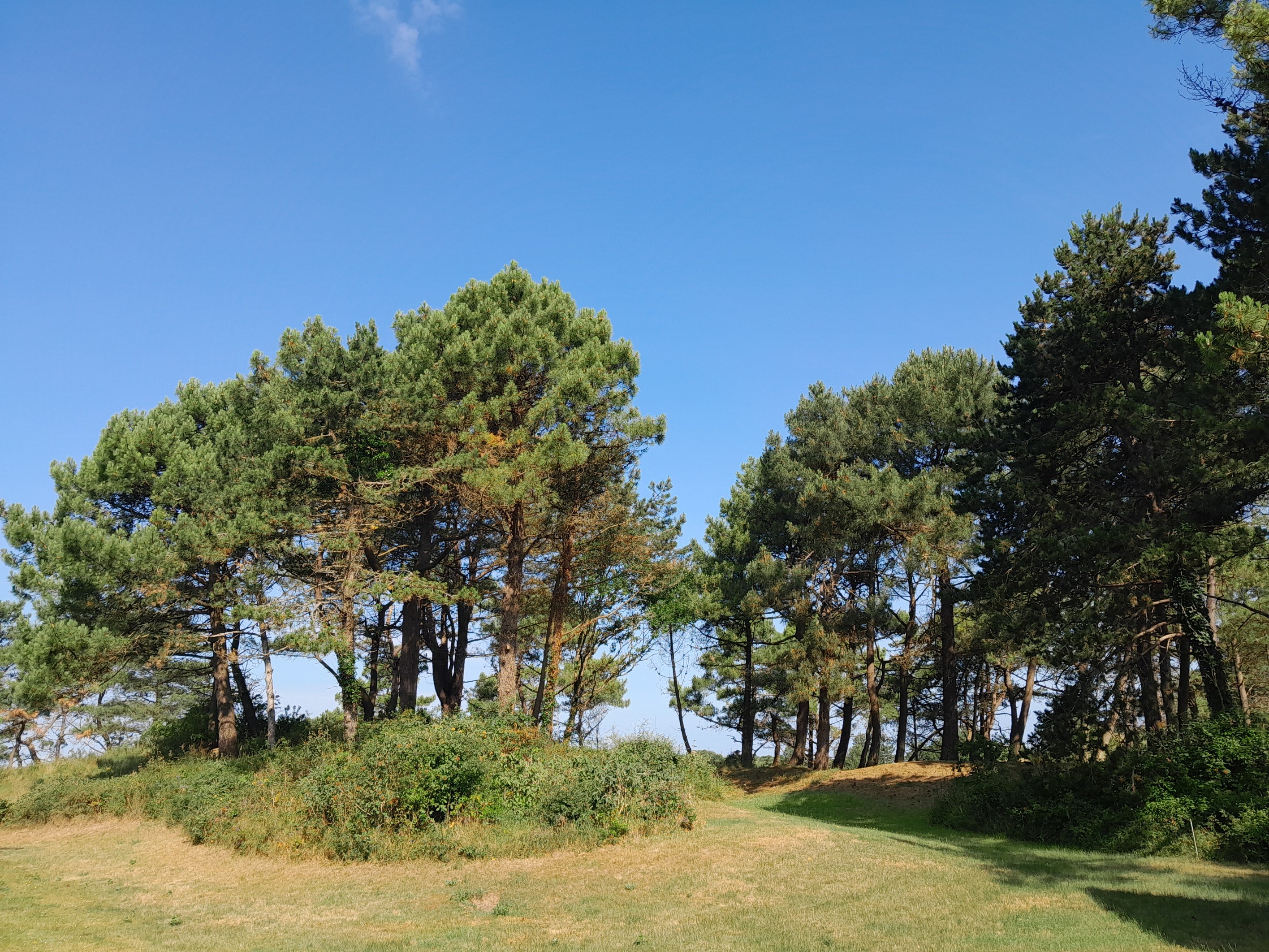  LE TOUQUET - ARCHITECT-DESIGNED VILLA IN A PRIVILEGED SETTING - 物件實景