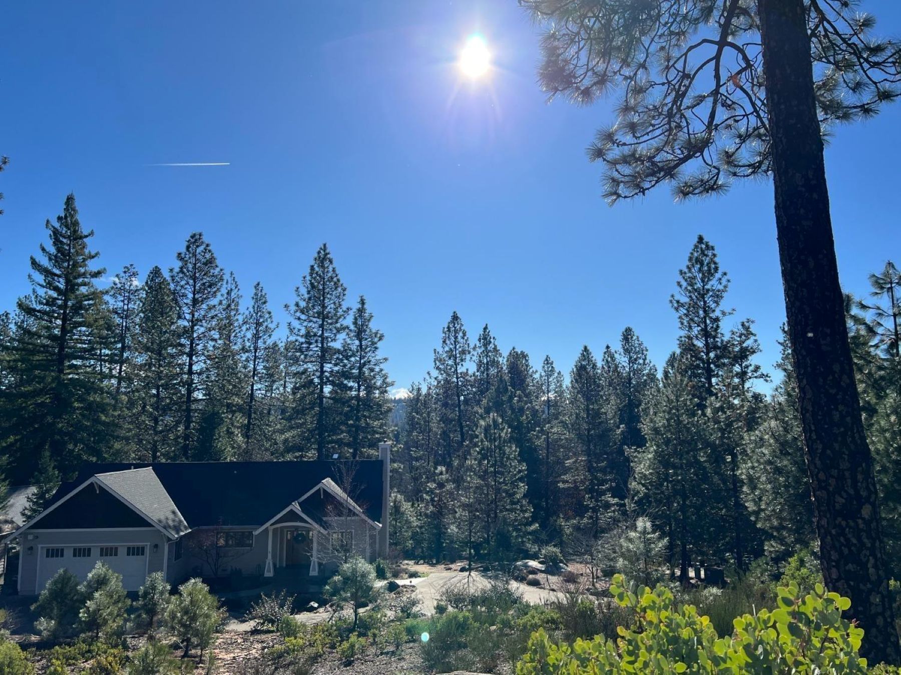  520 Lost Hill Court, Nevada City, CA 95959 - 物件實景