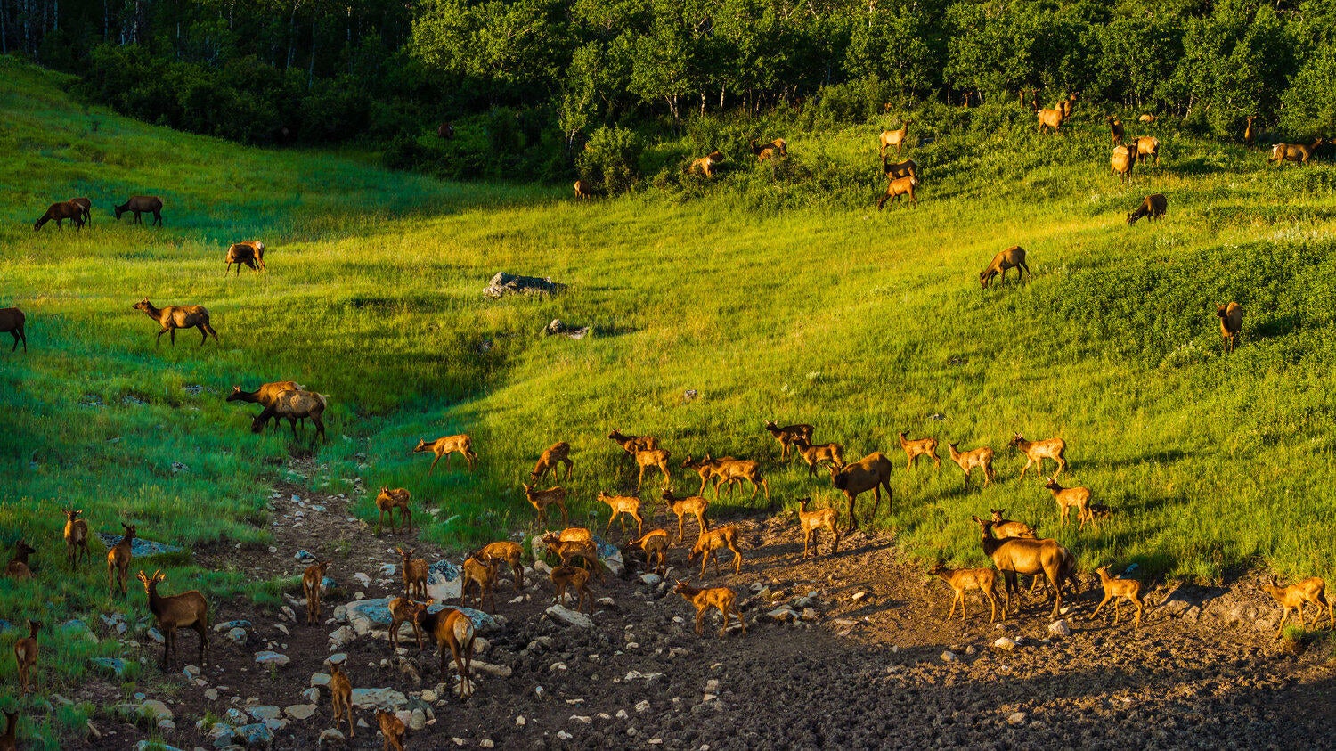 Big Horn, Wyoming, 82833, United States, 3 Bedrooms Bedrooms, ,4 BathroomsBathrooms,Residential,For Sale,2011301