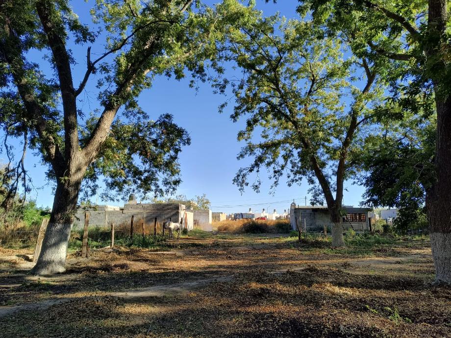 Parras, Coahuila de Zaragoza, 27987, Mexico, 1 Bedroom Bedrooms, ,Residential,For Sale,1695187