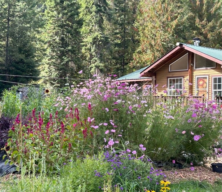 Sandpoint, Idaho, 83864, United States, 2 Bedrooms Bedrooms, ,2 BathroomsBathrooms,Residential,For Sale,2006058