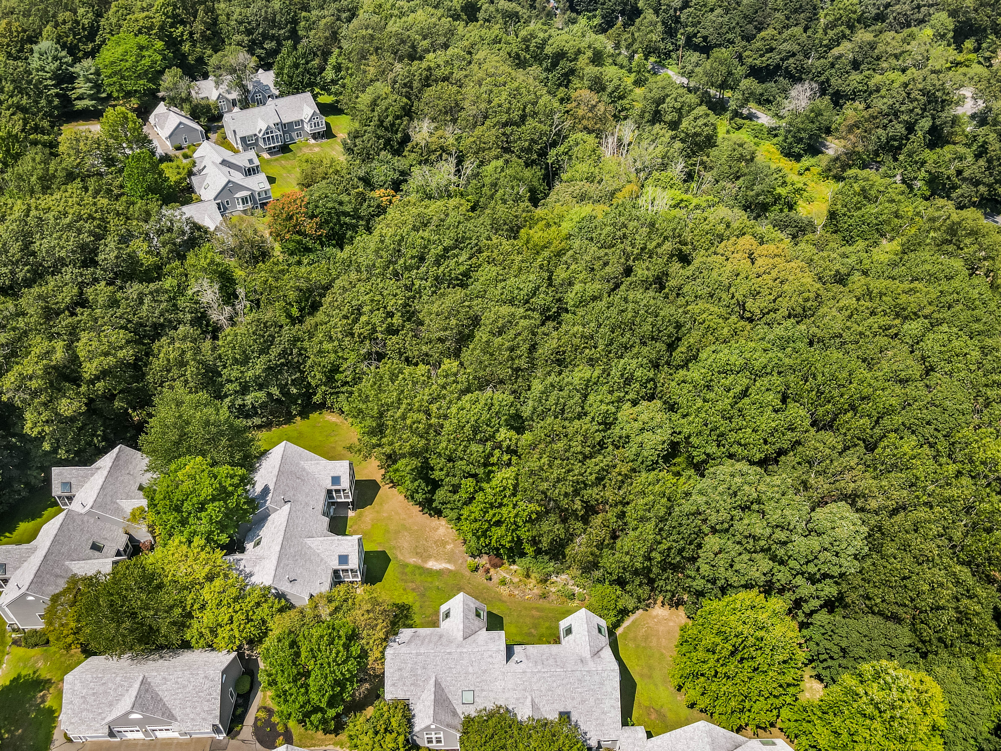  125 Audubon Drive, Acton, MA 01720 - 物件實景
