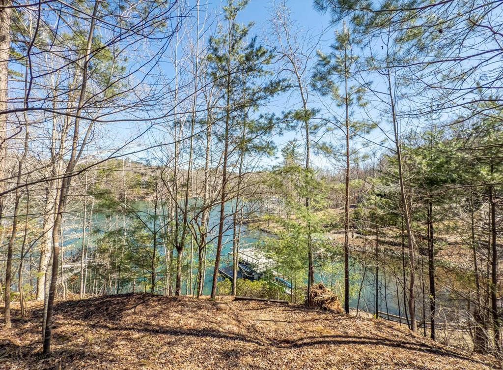 Sunset, South Carolina, 29685, United States, ,Land,For Sale,1896447