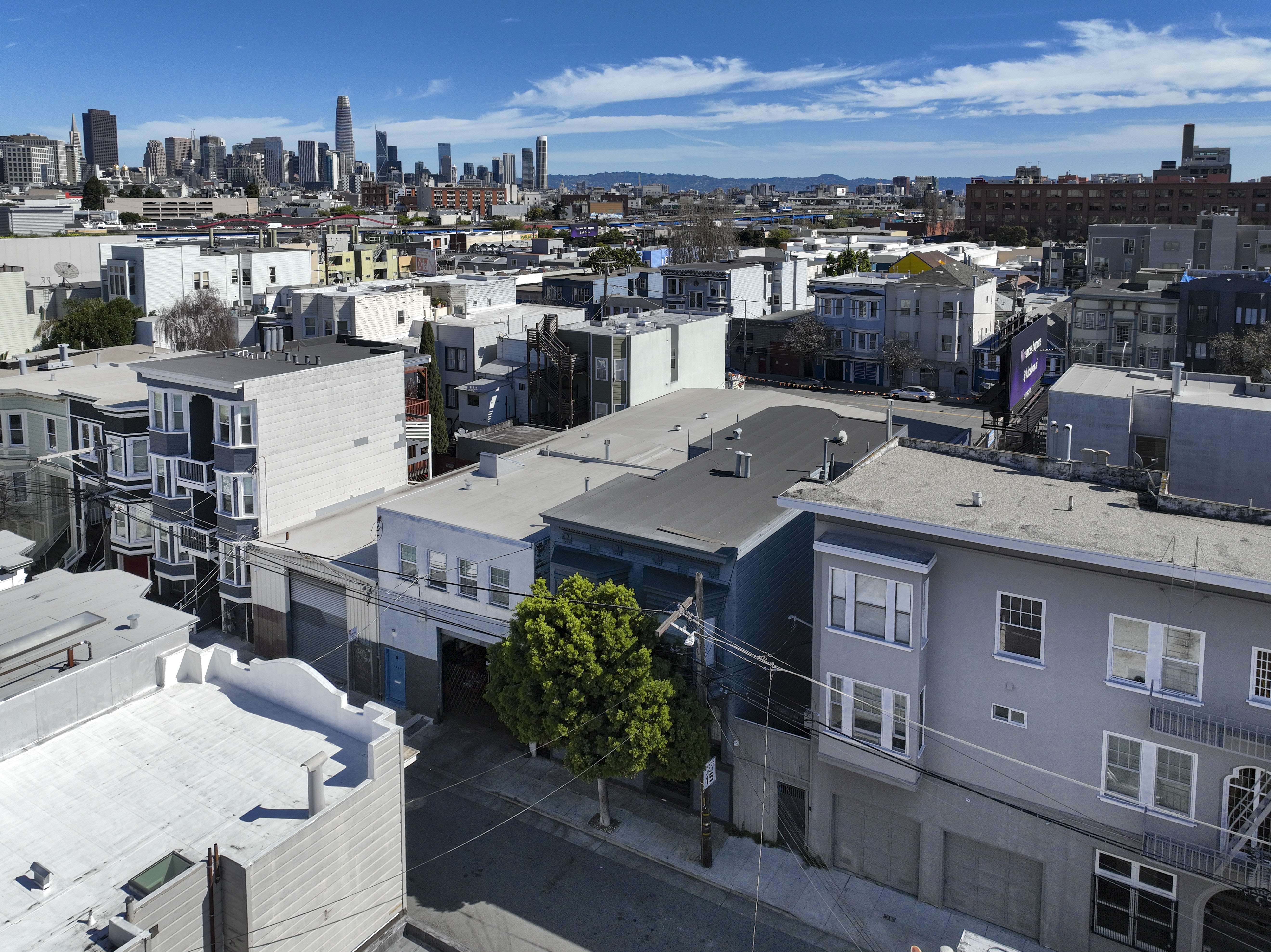  Period Charm Galore  Edwardian in the Mission - 物件實景