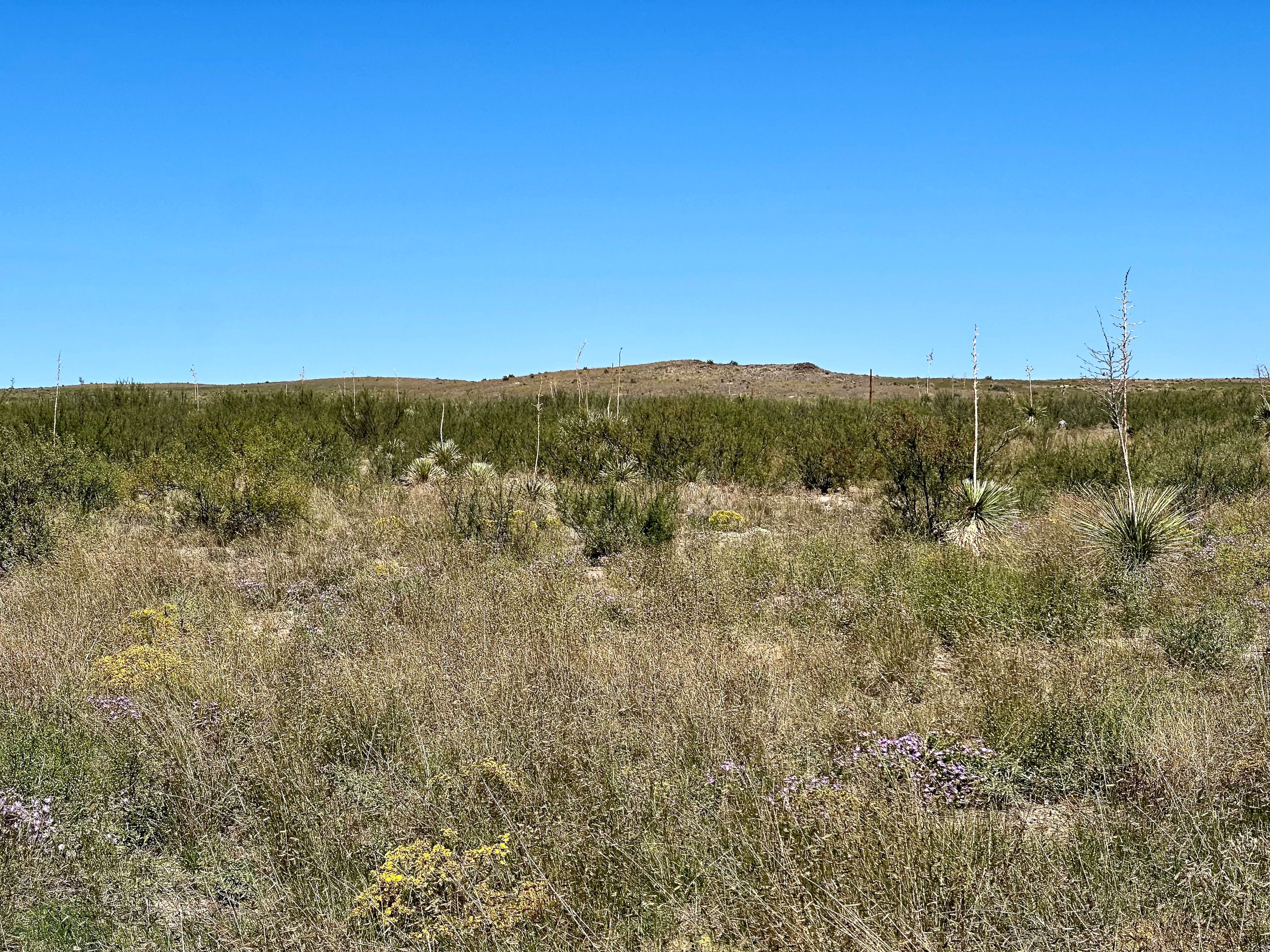  18311 Hwy 90, Marfa, TX 79843 - 物件實景