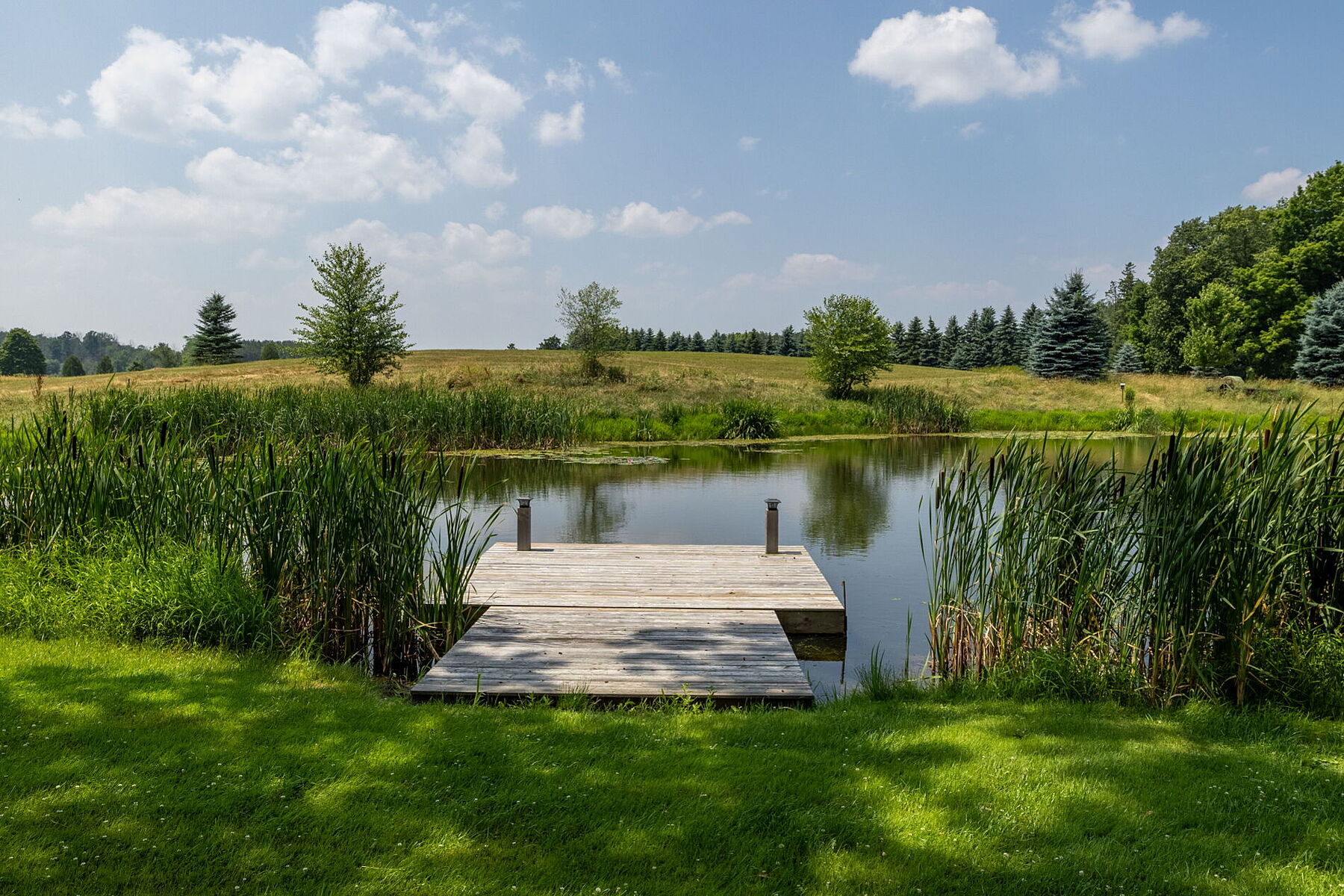  96-acre Farm Estate - 物件實景