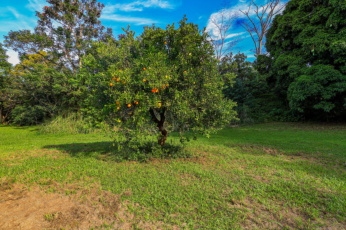 6828-B KUAMOO RD 2, Kapaa, Hawaii, 96746, United States, ,Land,For Sale,6828-B KUAMOO RD 2,1672725