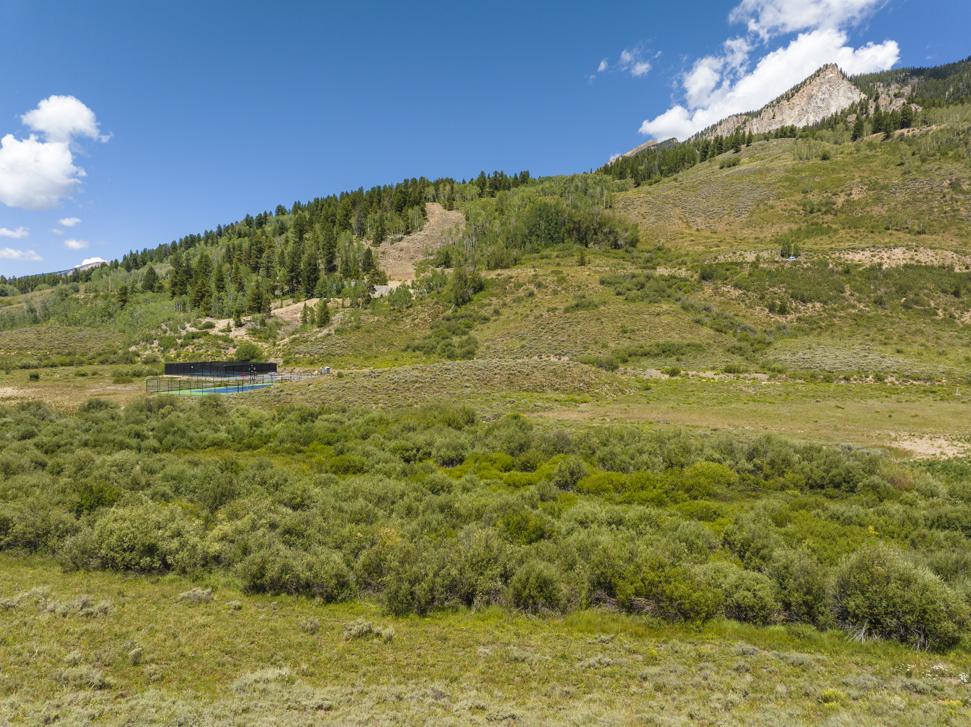 421 Lake Ridge Drive, Crested Butte, CO, 81224 - 物件實景