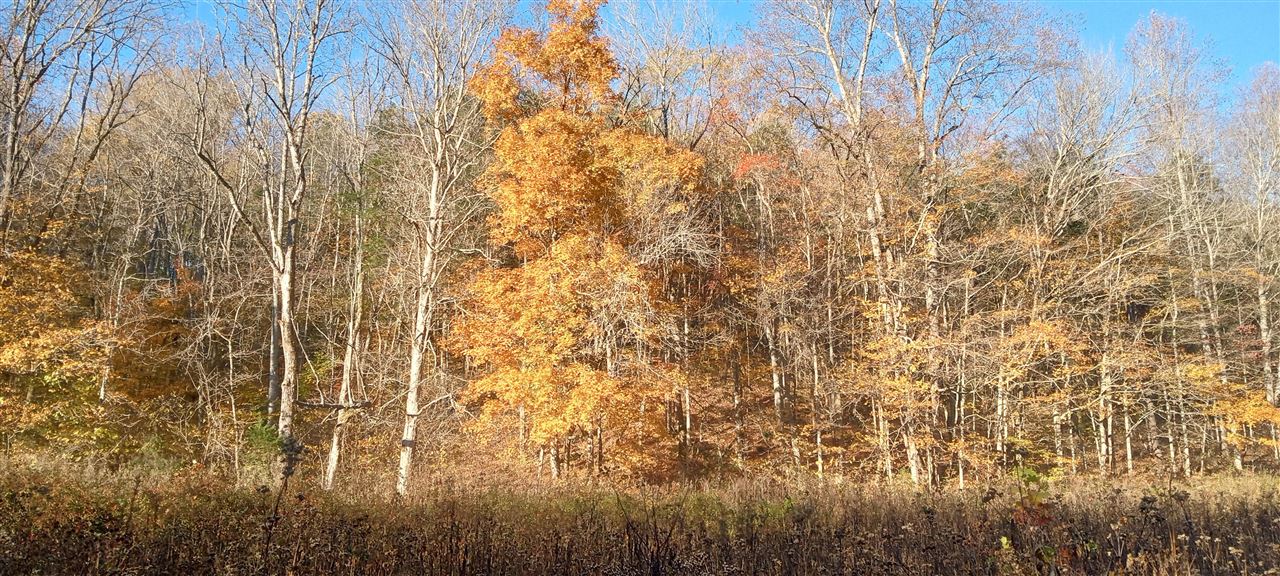 Willow Shade, Kentucky, 42166, United States, 3 Bedrooms Bedrooms, ,2 BathroomsBathrooms,Residential,For Sale,1991903