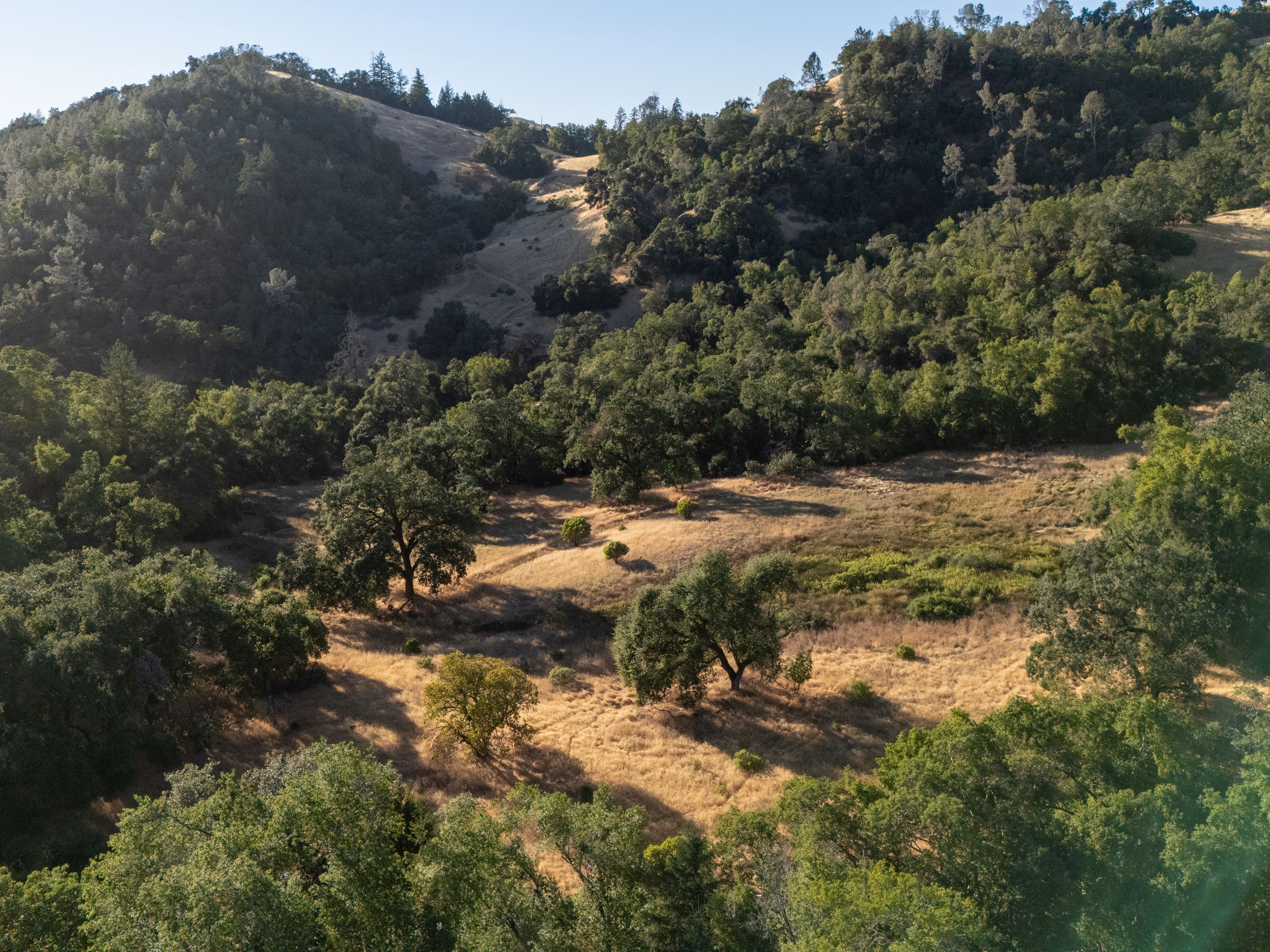  Very Rare Opportunity Alexander Valley Ranch - 物件實景