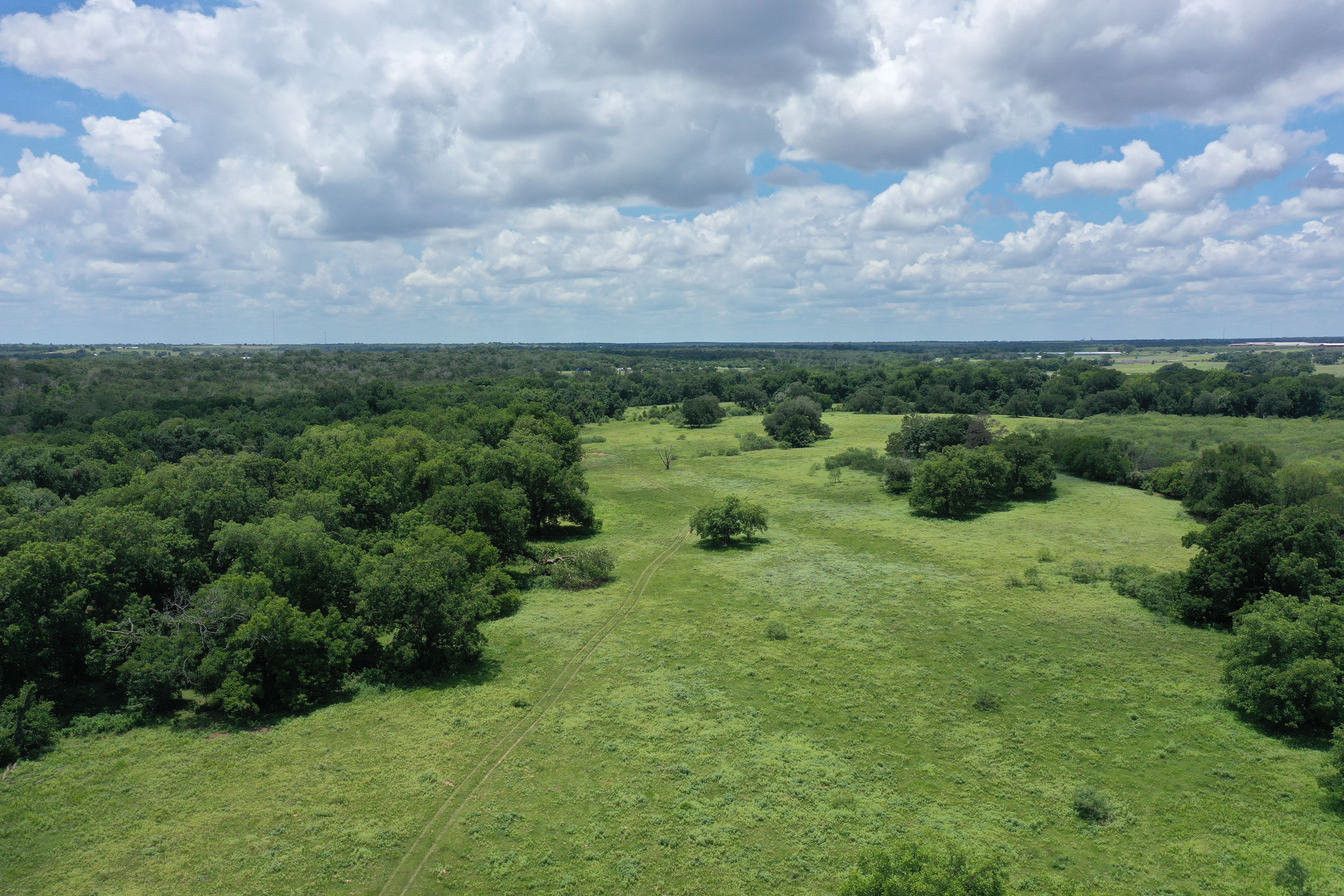  Buck Branch Ranch - 物件實景