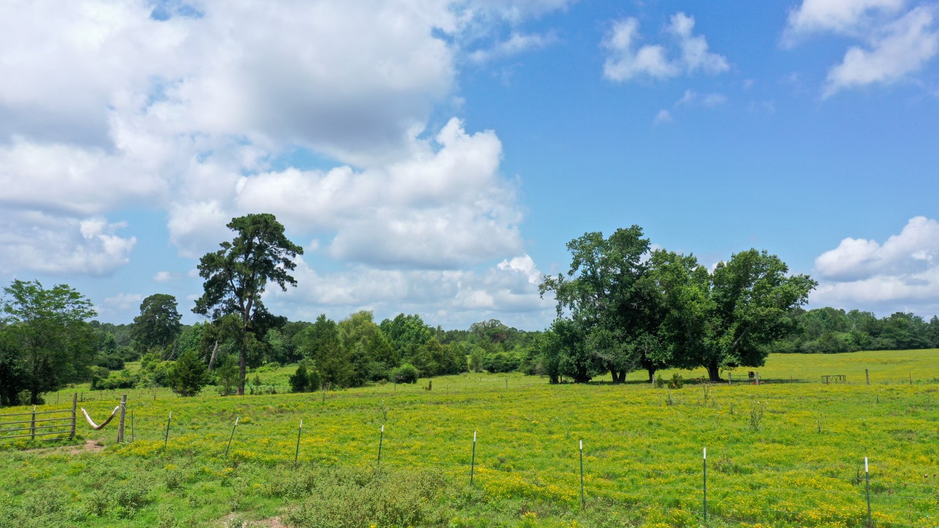 Linden, Texas, 75563, United States, ,Residential,For Sale,1809519